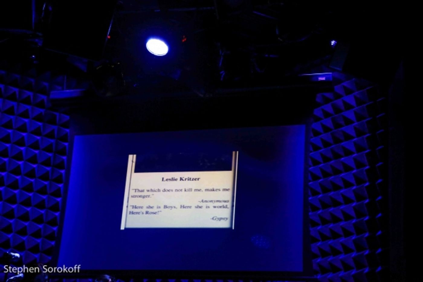 Photo Coverage: Leslie Kritzer Brings BEAUTIFUL DISASTER to Joe's Pub Photo Coverage: Leslie Kritzer Brings BEAUTIFUL DISASTER to Joe's Pub Image