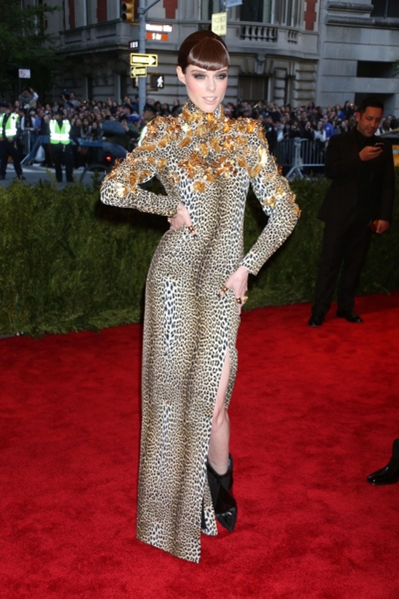 Photo Coverage: Met Gala Best Dressed  Image