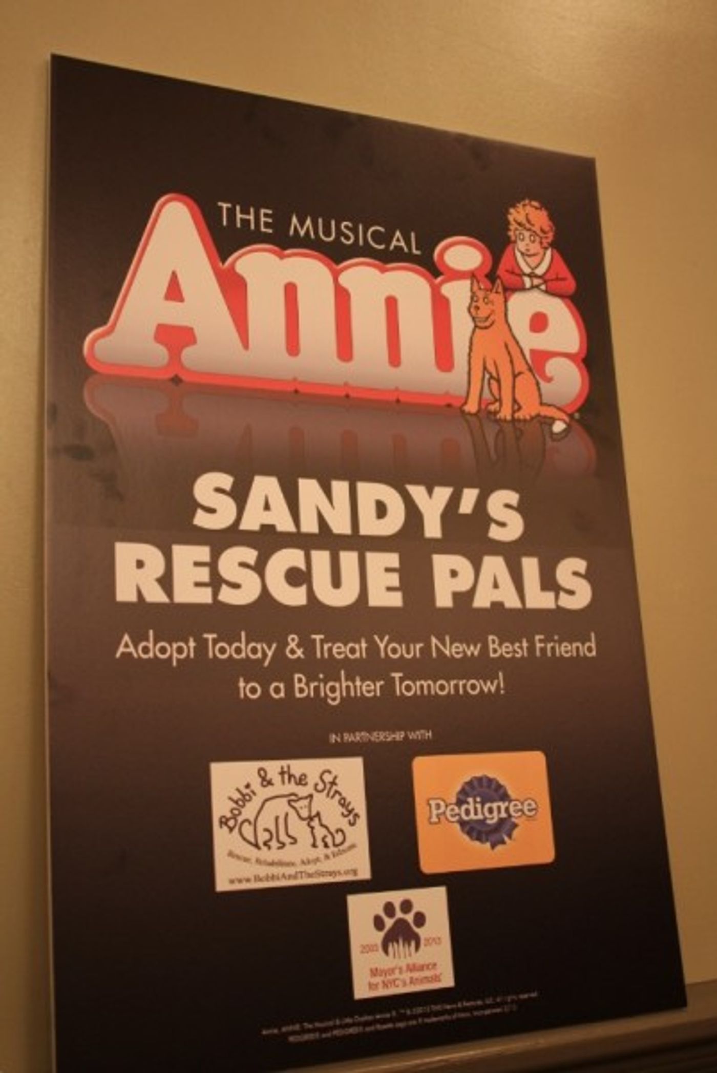 Photo Flash: ANNIE Celebrates the Launch of Sandy's Rescue Pals  Image