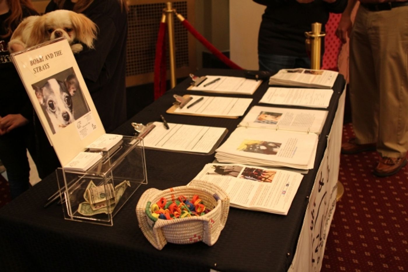 Photo Flash: ANNIE Celebrates the Launch of Sandy's Rescue Pals  Image