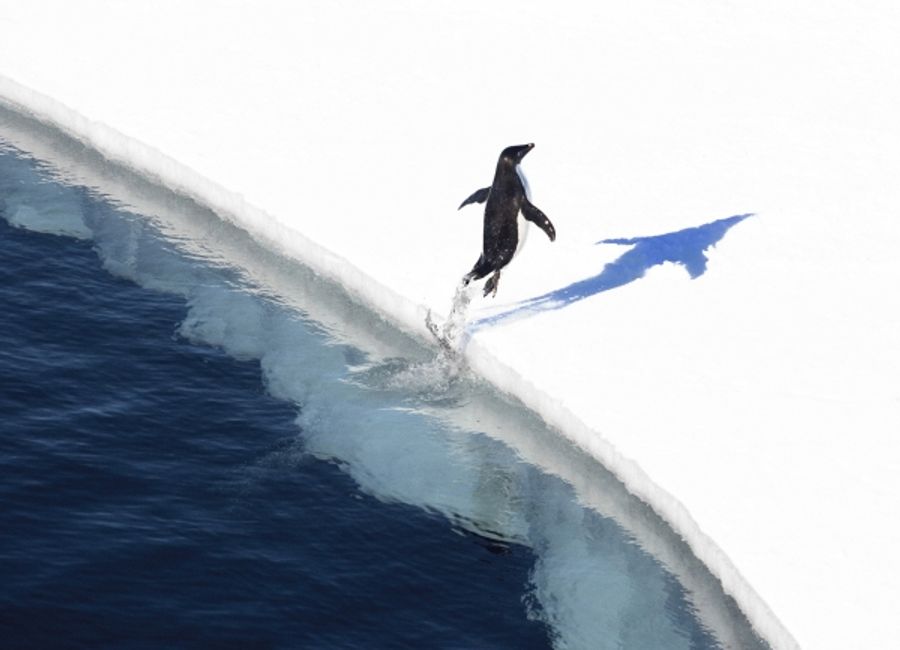 Photo Flash: Sneak Peek at THE LAST OCEAN, Set for newportFILM Screening Today Image