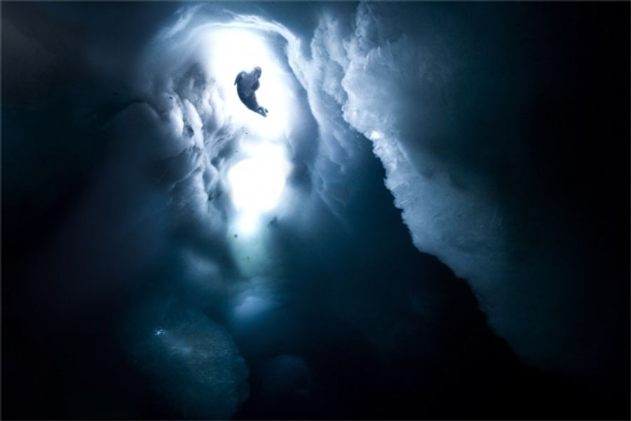 Photo Flash: Sneak Peek at THE LAST OCEAN, Set for newportFILM Screening Today Image