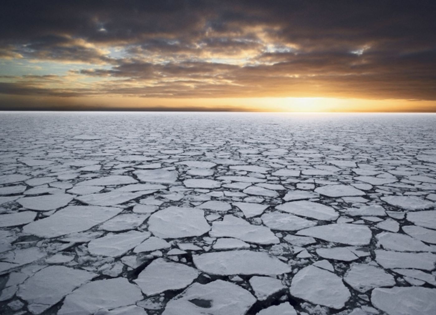 Photo Flash: Sneak Peek at THE LAST OCEAN, Set for newportFILM Screening 5/23  Image