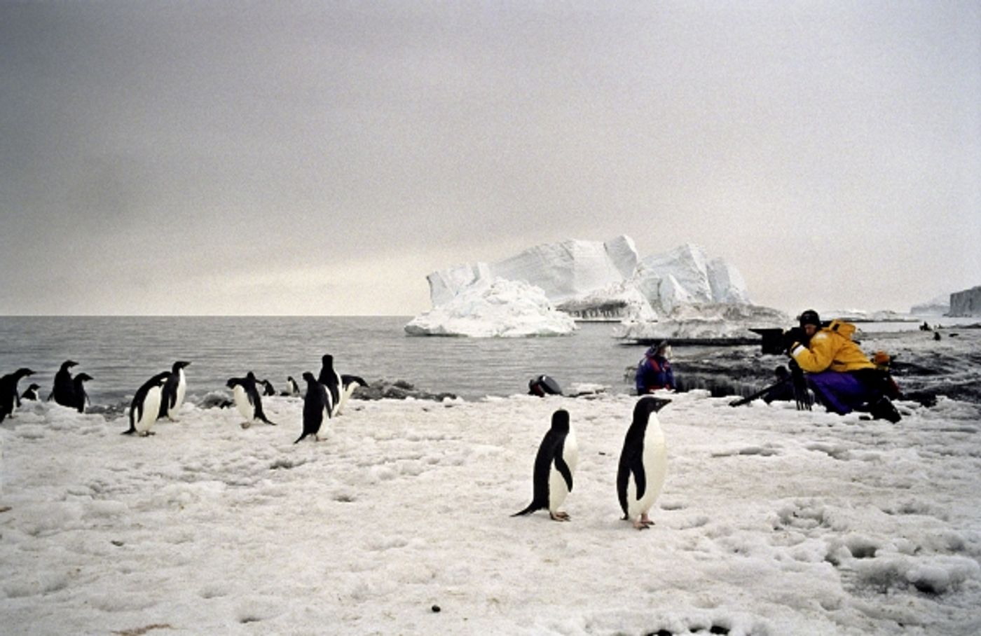 Photo Flash: Sneak Peek at THE LAST OCEAN, Set for newportFILM Screening 5/23  Image