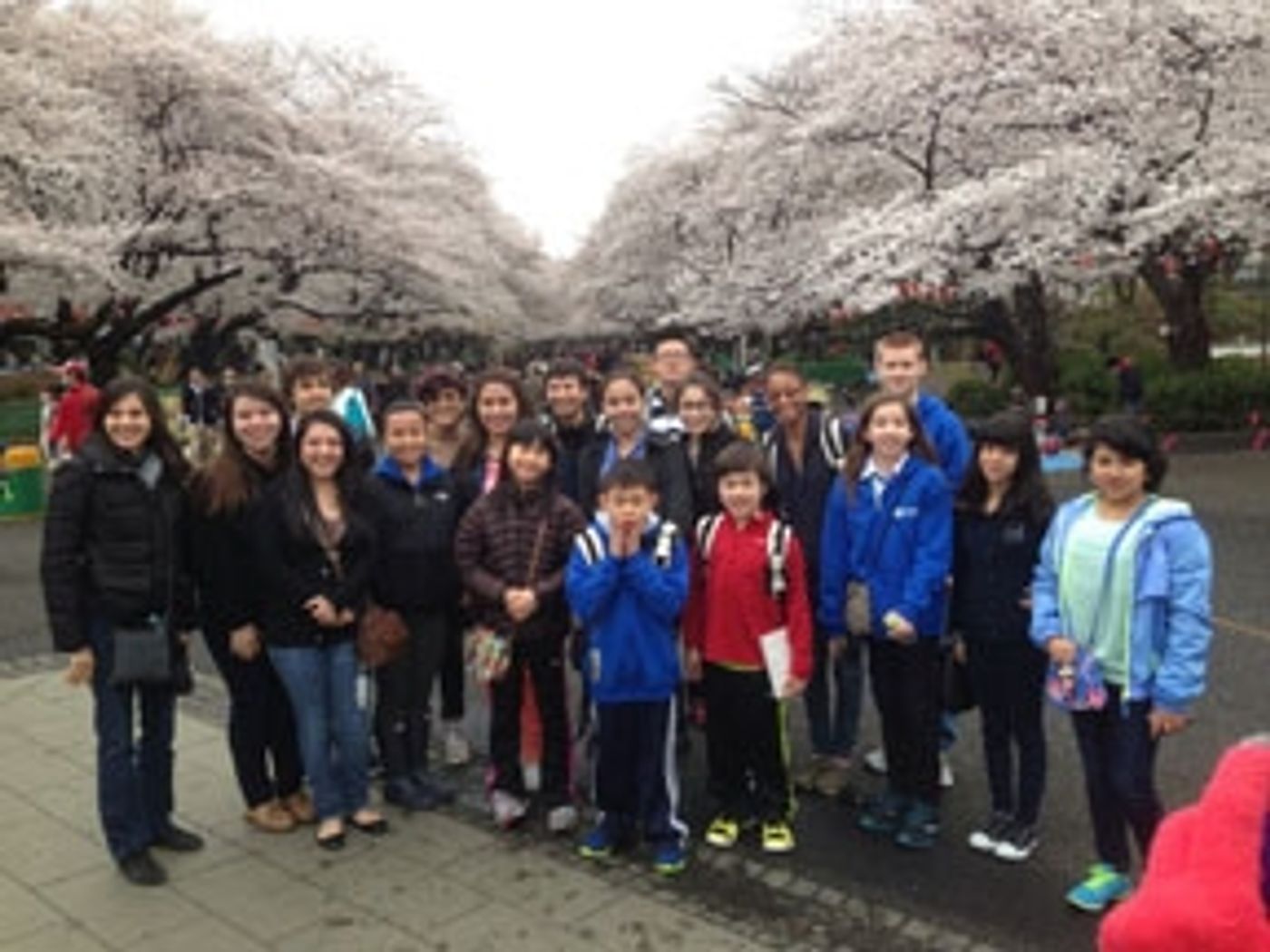 Photo Flash: Merit School of Music's Suzuki-Alegre Strings Ensemble Takes Trip to Japan Photo Flash: Merit School of Music's Suzuki-Alegre Strings Ensemble Takes Trip to Japan Image