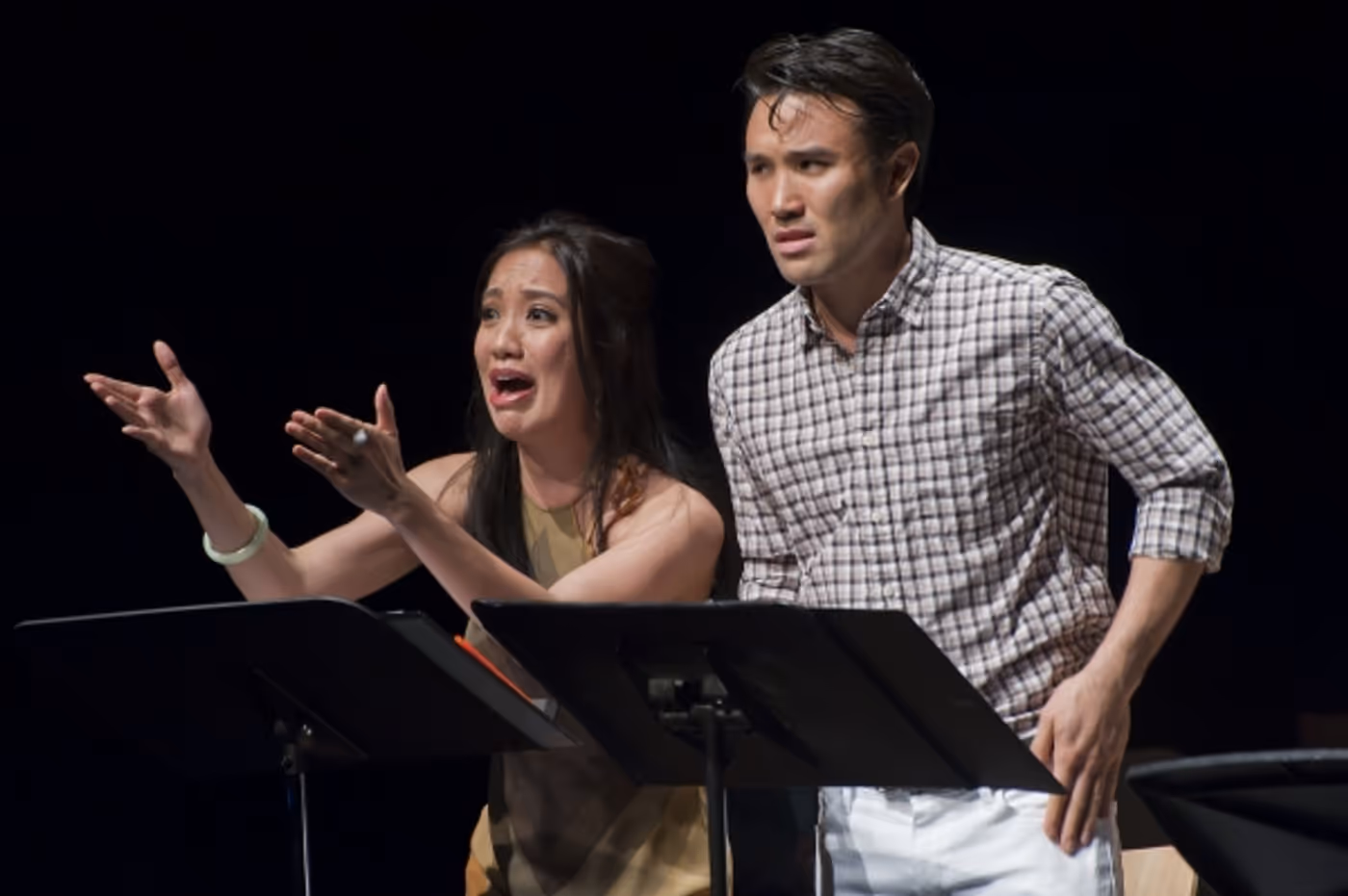 Photo Flash: Ann Harada, Telly Leung and More at ASIAN AMERICAN COMPOSERS & LYRICISTS PROJECT Image