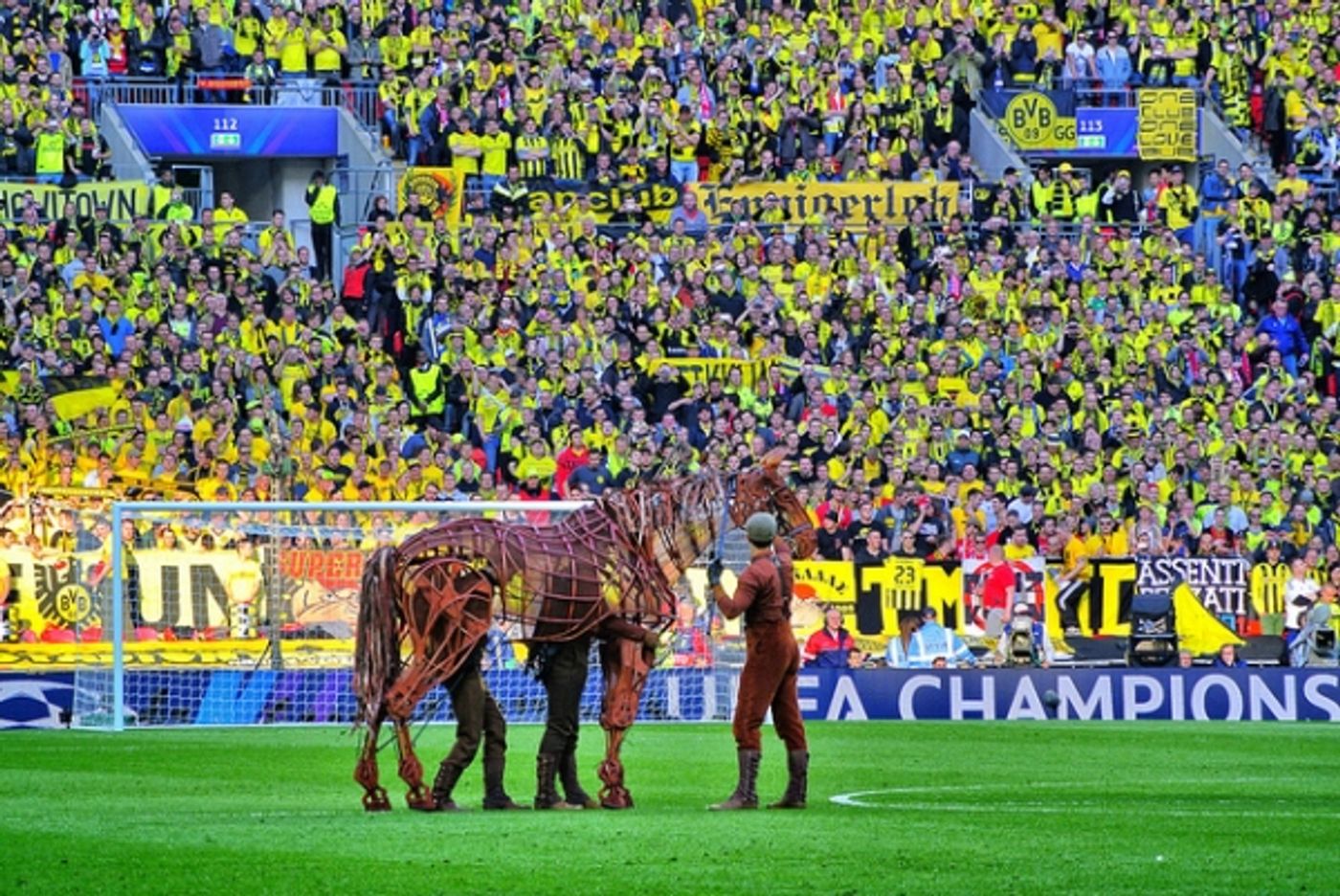 Photo Flash: WAR HORSE's Joey Visits Wembley for UEFA Champions League Final Image
