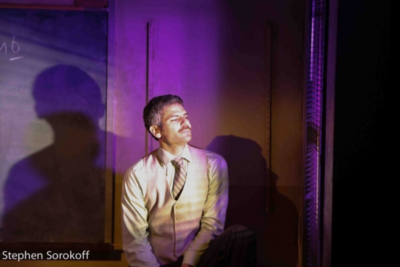 Photo Coverage: Barrington Stage Opens BASHIR LAZHAR  Image