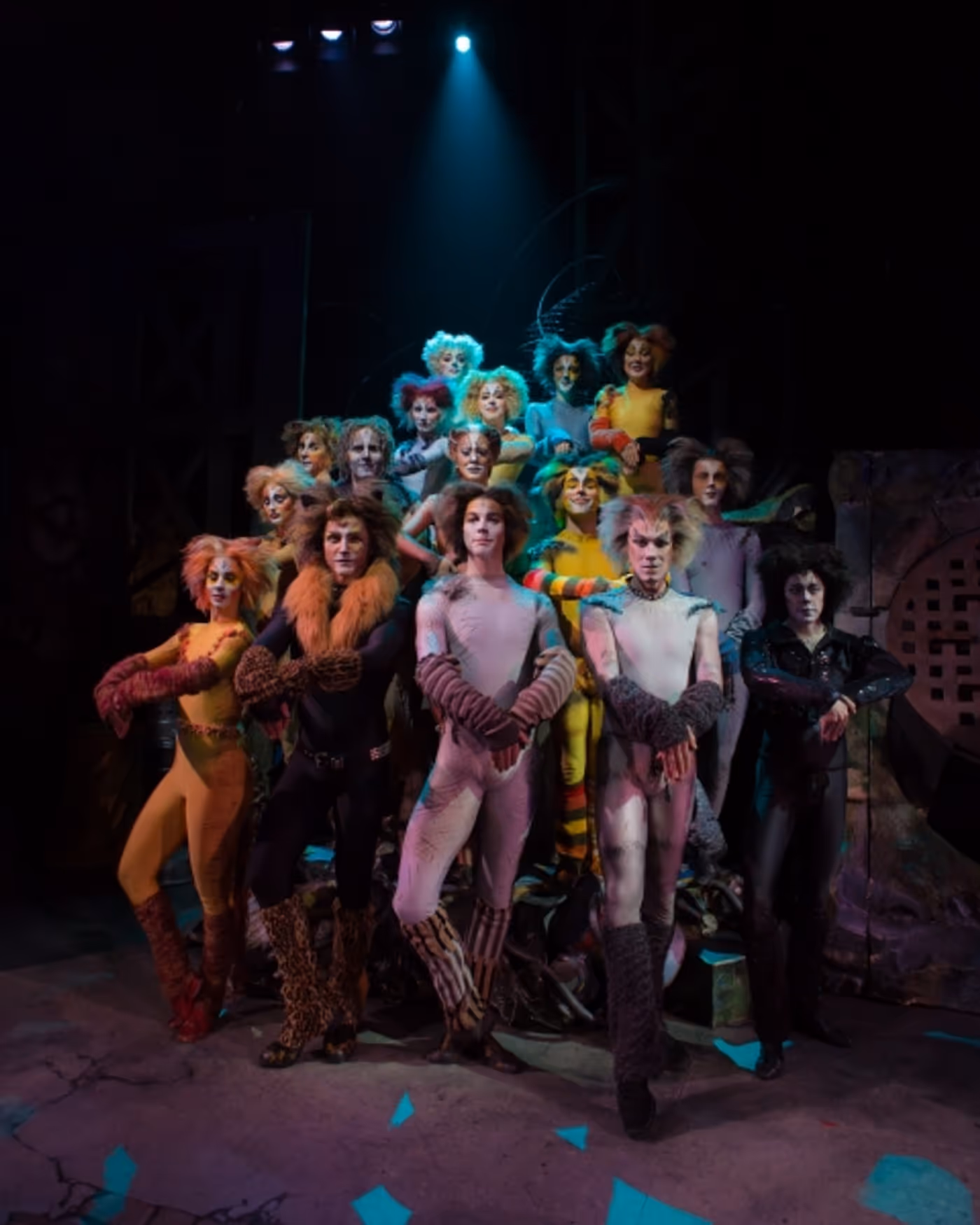 Photo Flash: First Look at Charles Azulay, Ma-Anne Dionisio & More in the Canadian Production of CATS Photo Flash: First Look at Charles Azulay, Ma-Anne Dionisio & More in the Canadian Production of CATS Image