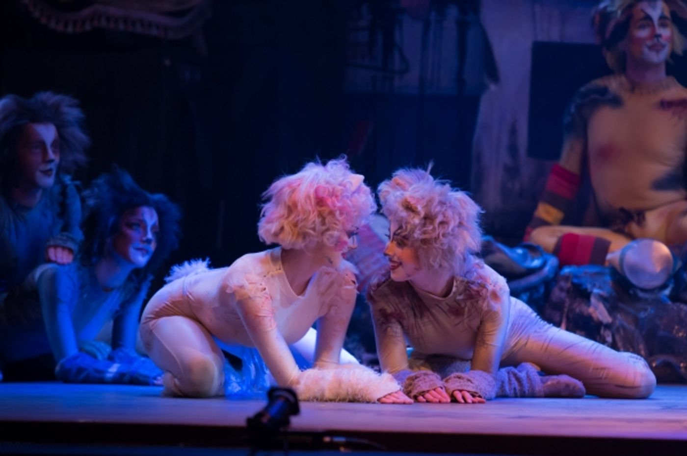 Photo Flash: First Look at Charles Azulay, Ma-Anne Dionisio & More in the Canadian Production of CATS Photo Flash: First Look at Charles Azulay, Ma-Anne Dionisio & More in the Canadian Production of CATS Image