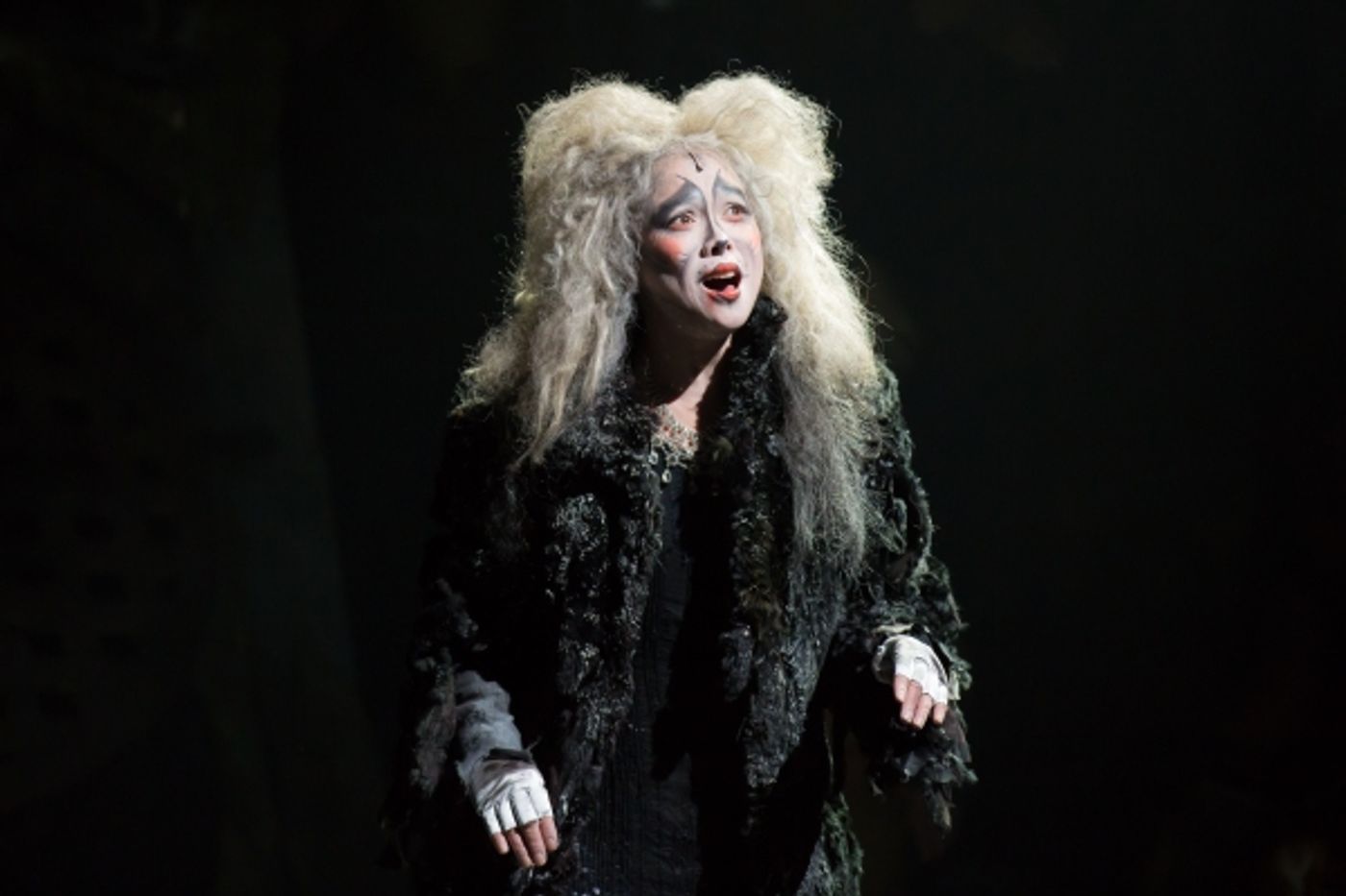 Photo Flash: First Look at Charles Azulay, Ma-Anne Dionisio & More in the Canadian Production of CATS Photo Flash: First Look at Charles Azulay, Ma-Anne Dionisio & More in the Canadian Production of CATS Image