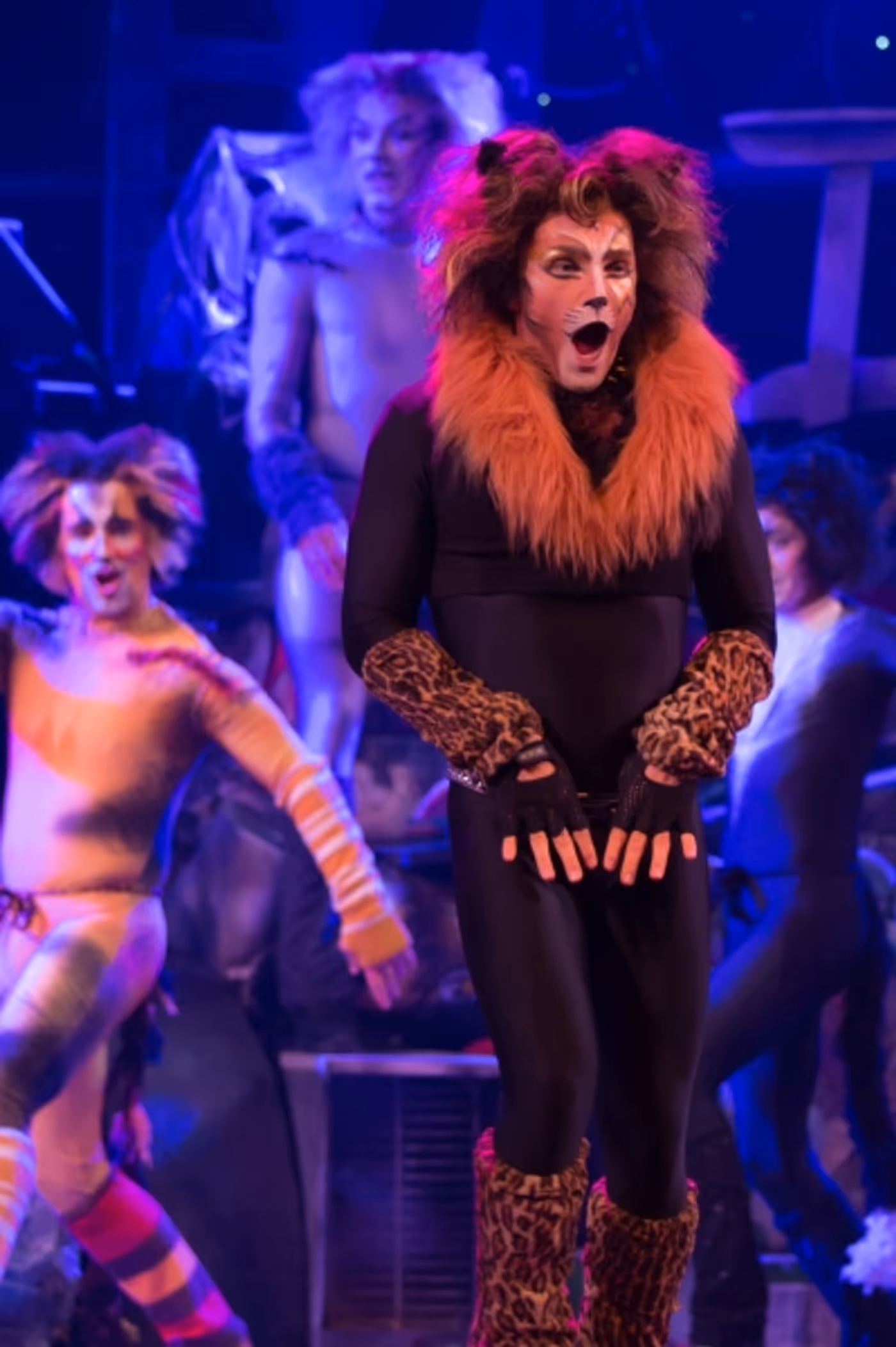 Photo Flash: First Look at Charles Azulay, Ma-Anne Dionisio & More in the Canadian Production of CATS Photo Flash: First Look at Charles Azulay, Ma-Anne Dionisio & More in the Canadian Production of CATS Image