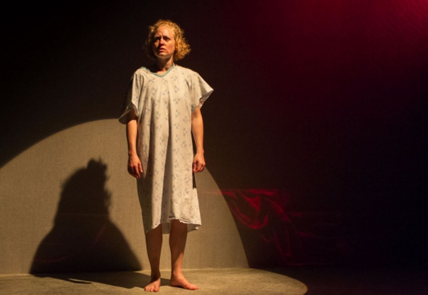 Photo Flash: First Look at Victor Mack, Dana Millican and More in Artists Rep's ITHAKA  Image