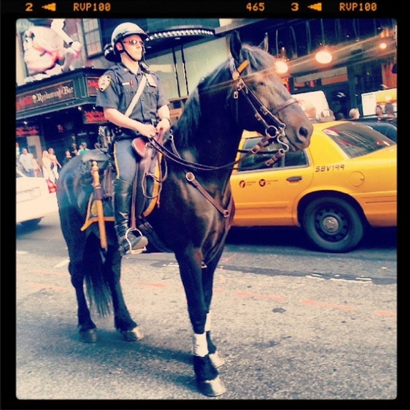 Photo Flash: Saturday Intermission Pics, June 1, Part 2 - THE LITTLE MERMAID, WICKED, LUCKY GUY and More!  Image