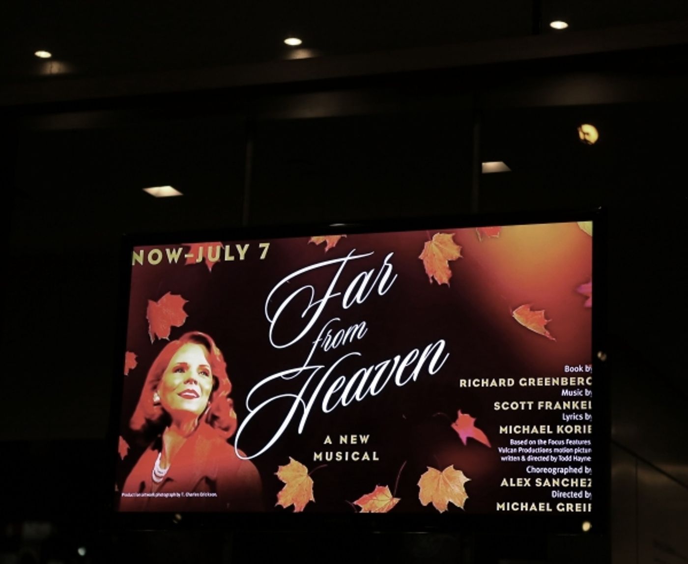 Photo Coverage: FAR FROM HEAVEN Opens at Playwrights Horizons- The Curtain Call! Image