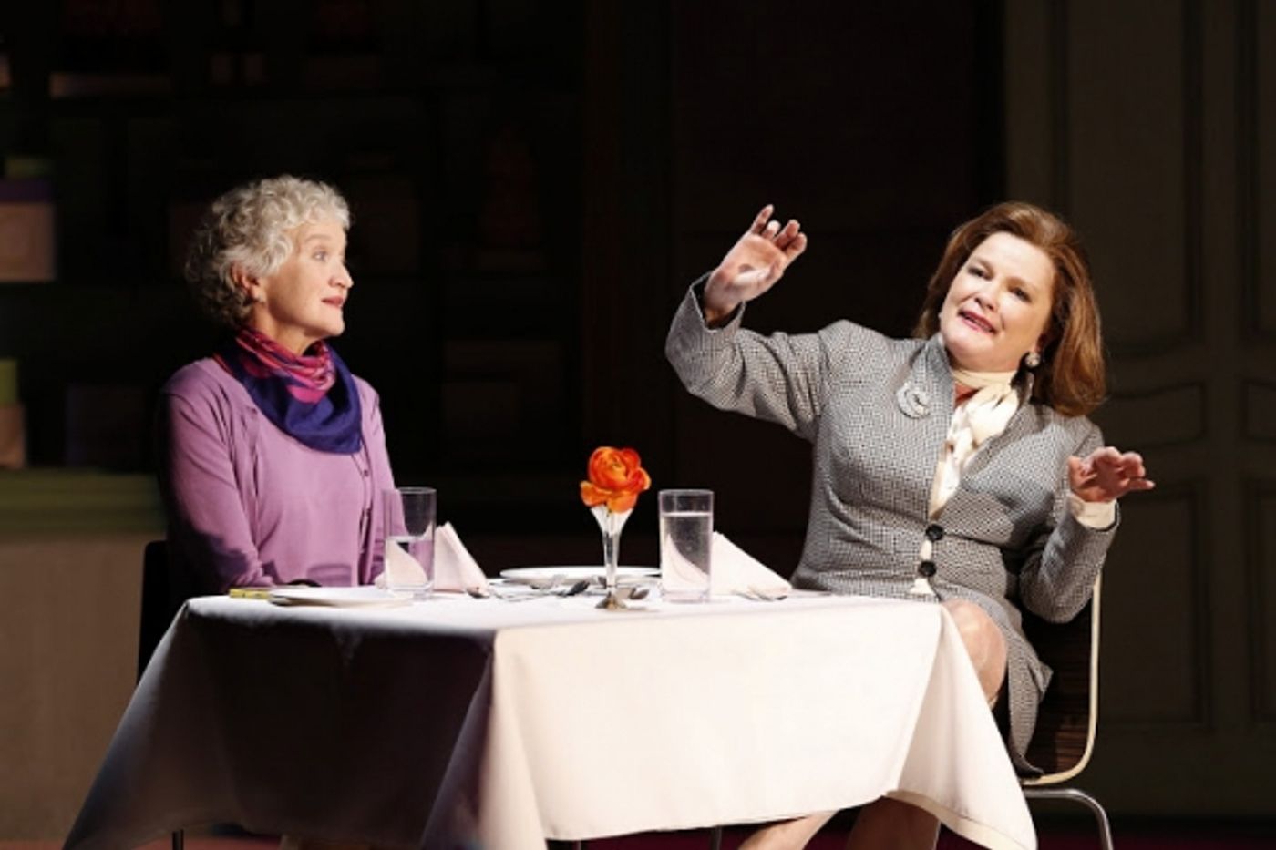 Photo Flash: First Look at Kathleen Chalfant and More in Vineyard Theatre's SOMEWHERE FUN Image