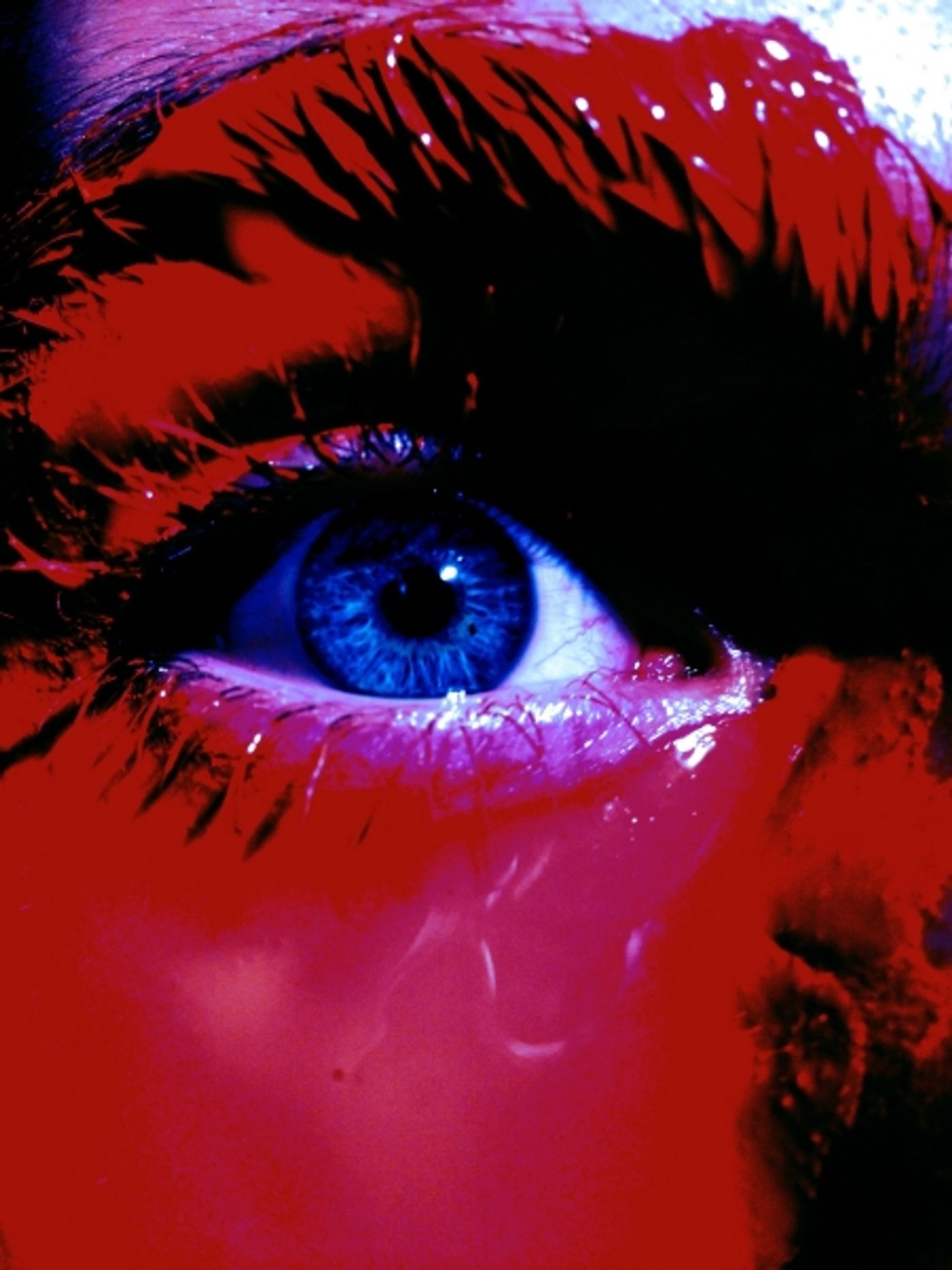 Photo Flash: Sneak Peek - 2013 Ice Factory Festival at New Ohio Theatre  Image