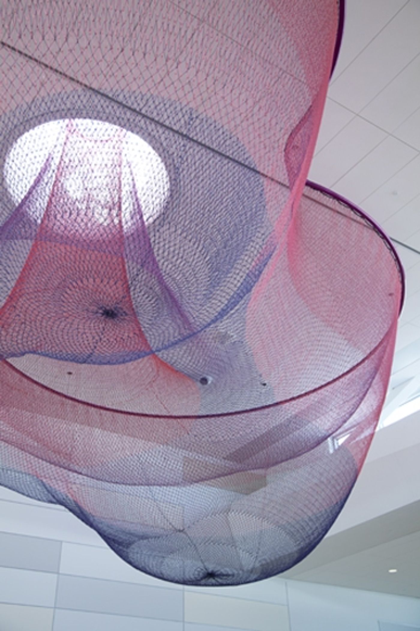 Photo Flash: Preview Cynthia-Reeves Projects' CONNECTIVITY Installation in Charlotte Image