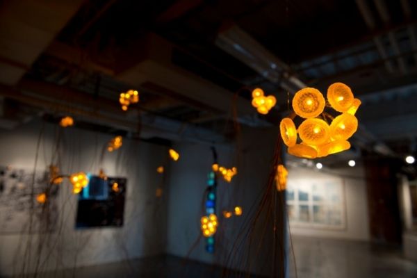 Photo Flash: Preview Cynthia-Reeves Projects' CONNECTIVITY Installation in Charlotte Image