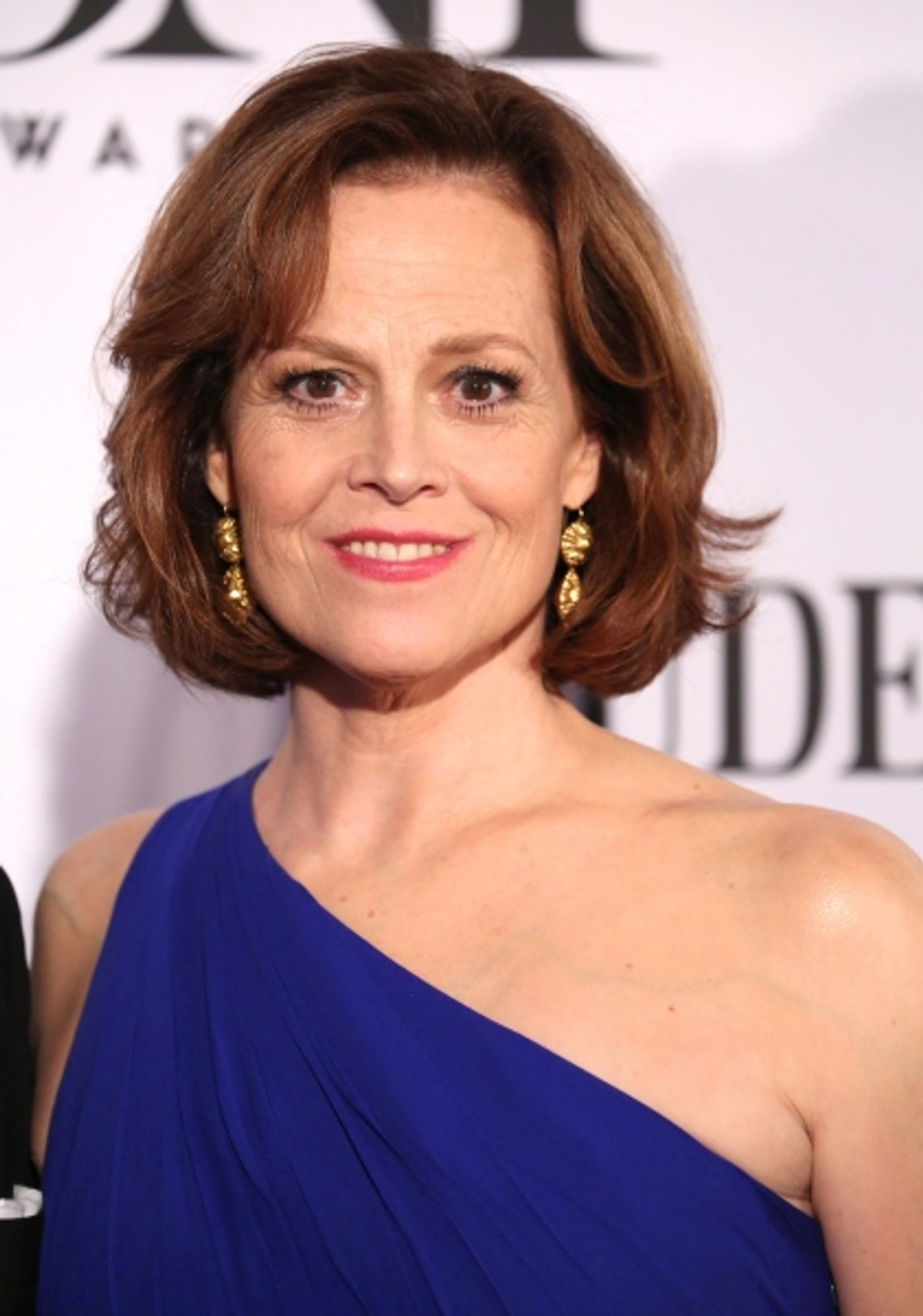 Photo Coverage: 2013 Tony Awards Red Carpet Part-3!  Image