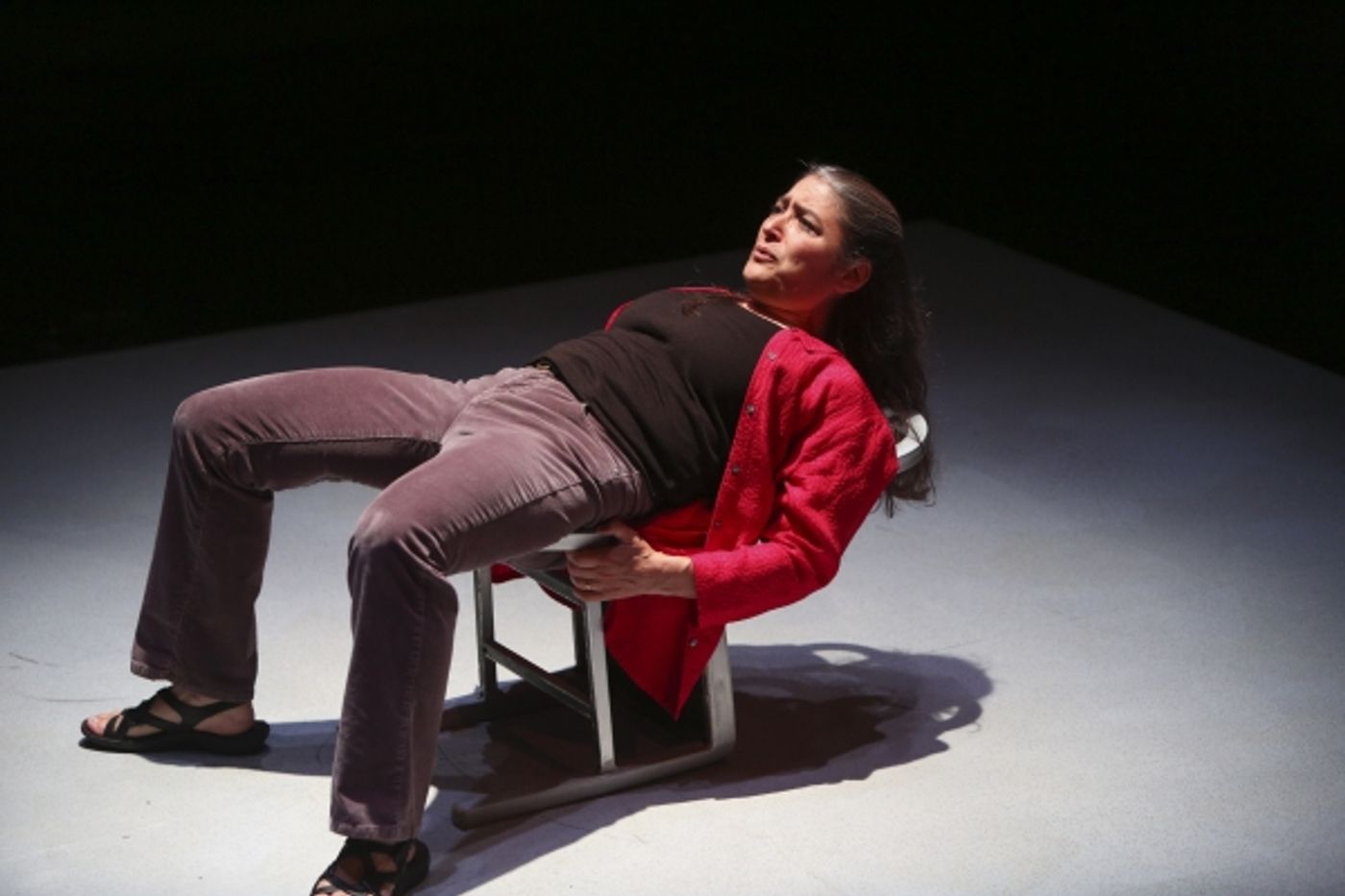 Photo Flash: First Look at Alice Eve Cohen in Kitchen Theatre's WHAT I THOUGHT I KNEW  Image