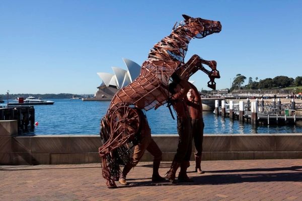 Photo Flash: WAR HORSE's Joey Visits the UK, US, Germany and Australia — photo 5 of 6