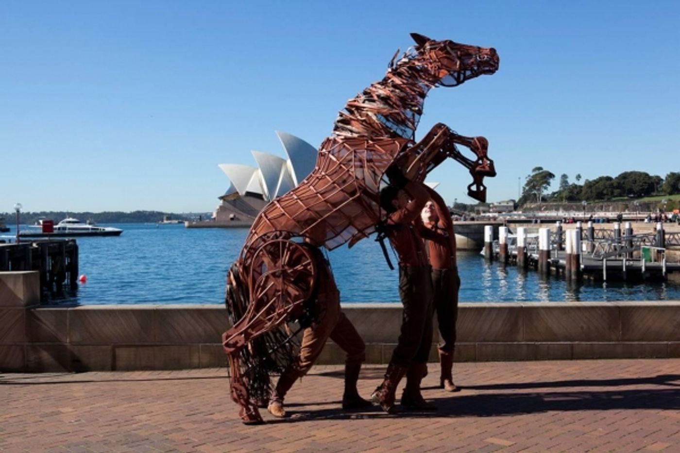 Photo Flash: WAR HORSE's Joey Visits the UK, US, Germany and Australia  Image