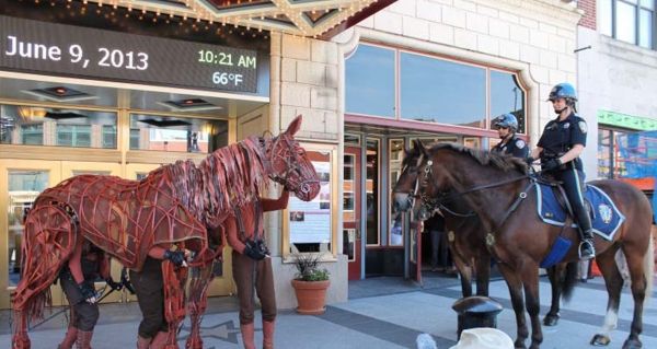 Photo Flash: WAR HORSE's Joey Visits the UK, US, Germany and Australia — photo 3 of 6