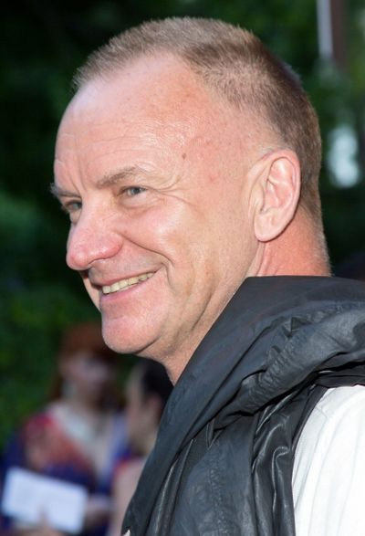 Sting Photo