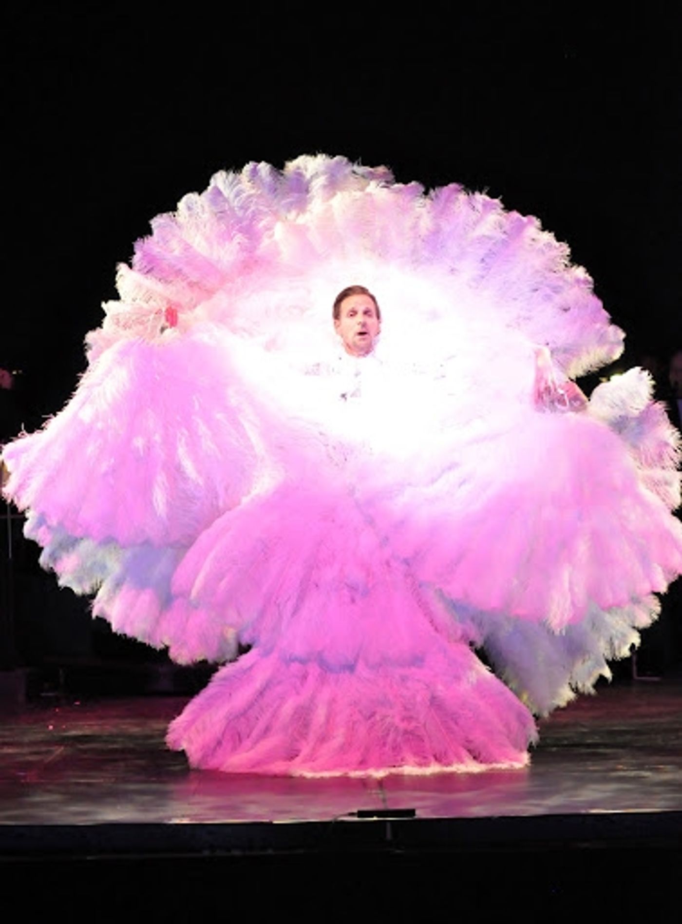 Photo Flash: First Look at Angie Schworer, Sara Gettelfinger and More in Reagle Music Theatre's CHICAGO  Image