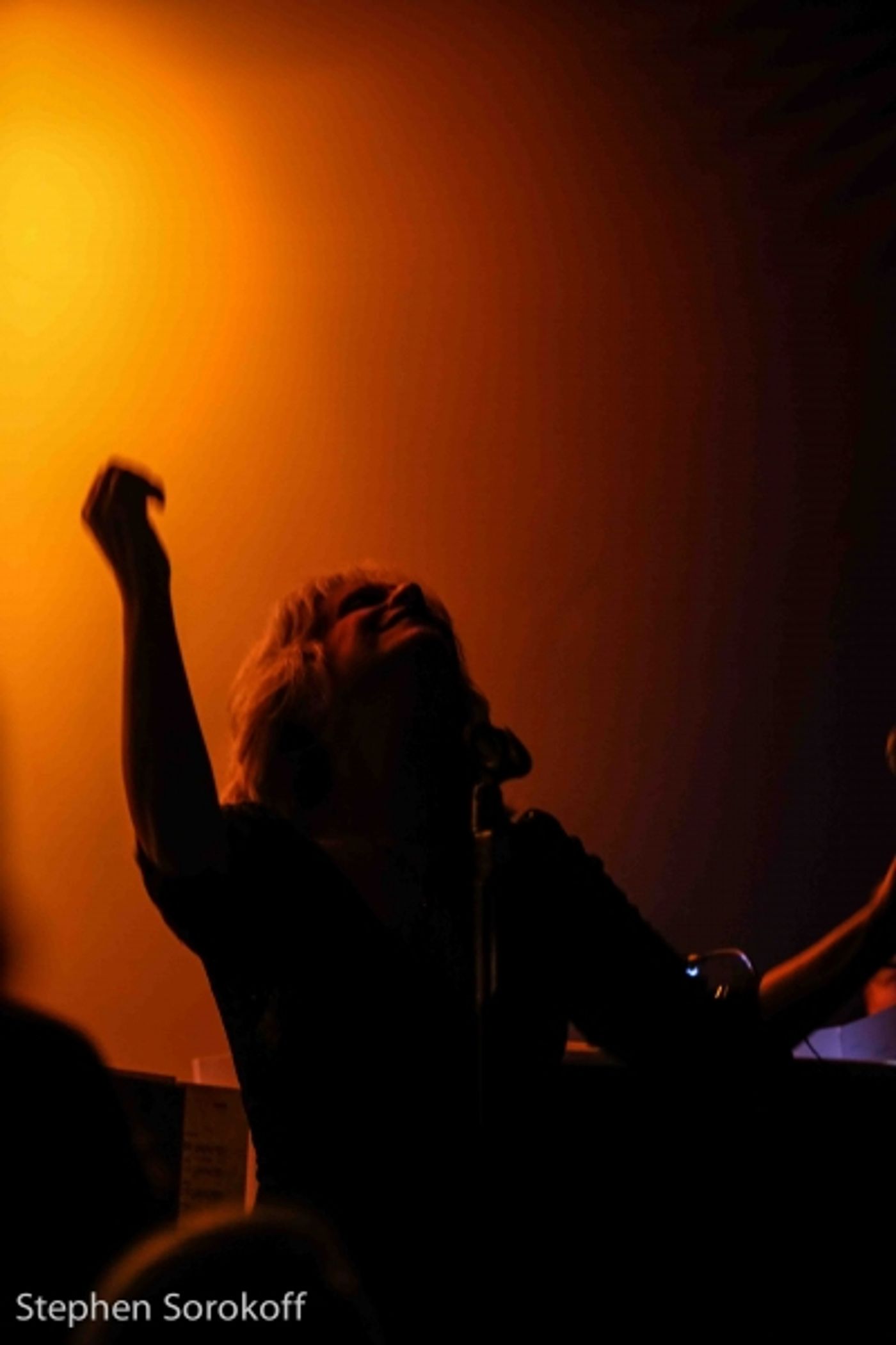 Photo Coverage: Julie Budd Brings SHOW-STOPPER to Metropolitan Room  Image