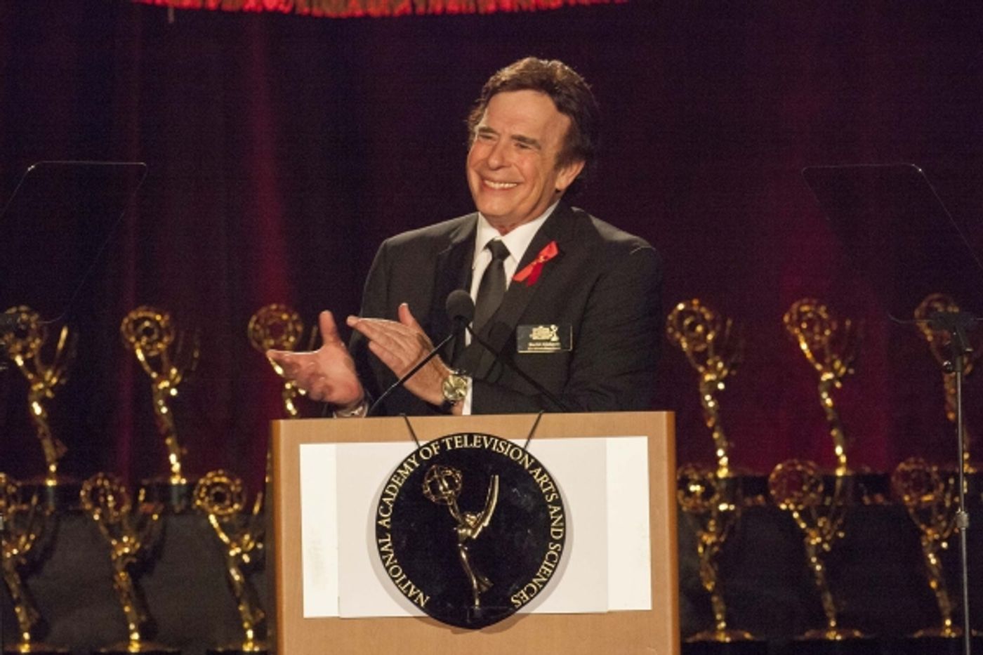 Photo Flash: CBS, PBS, HUB Network, Nickelodeon Win Big at 2013 Creative Arts Emmy Awards  Image