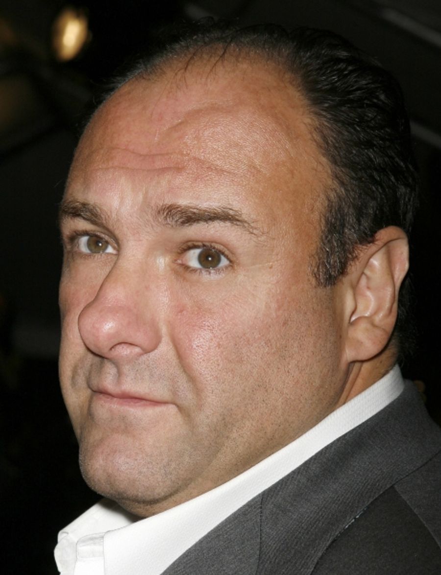 Photo Coverage: Remembering James Gandolfini Image