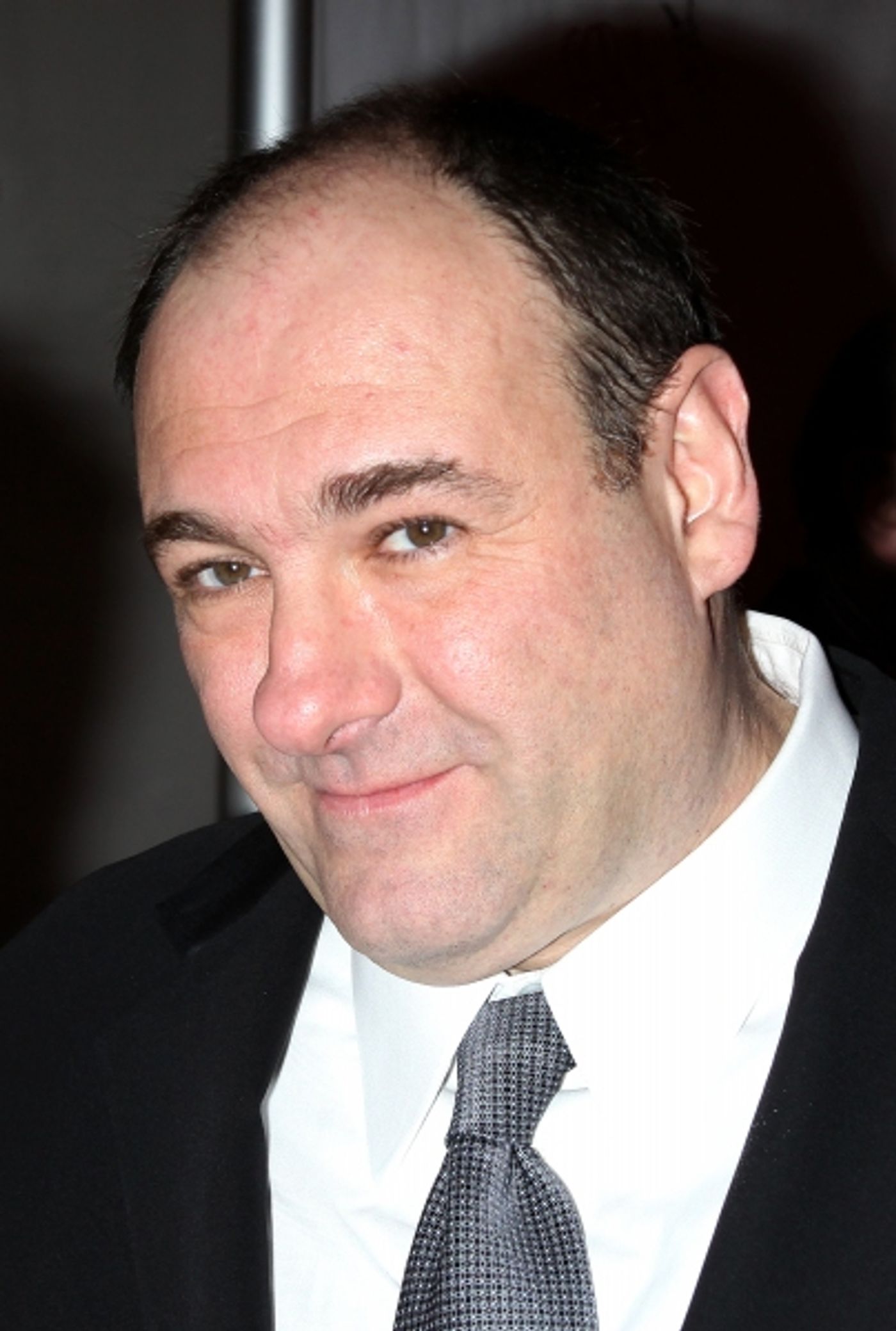 Photo Coverage: Remembering James Gandolfini  Image
