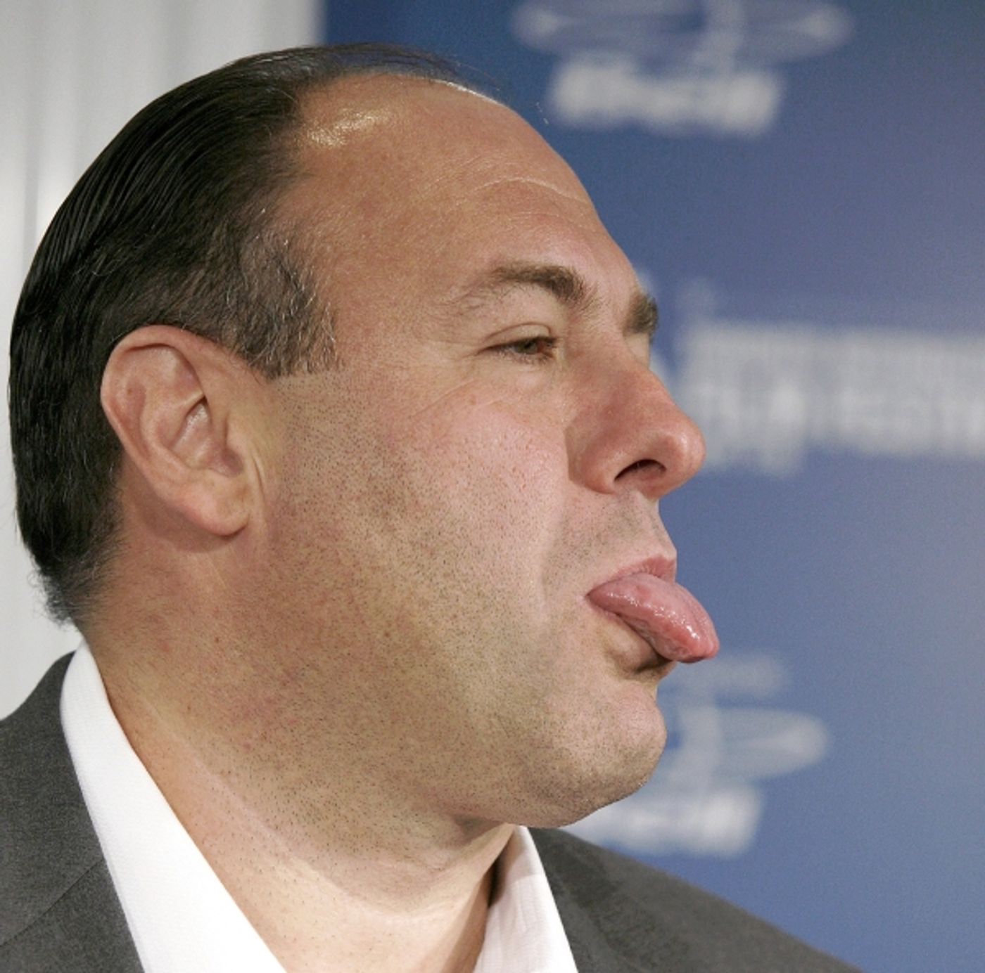 Photo Coverage: Remembering James Gandolfini  Image