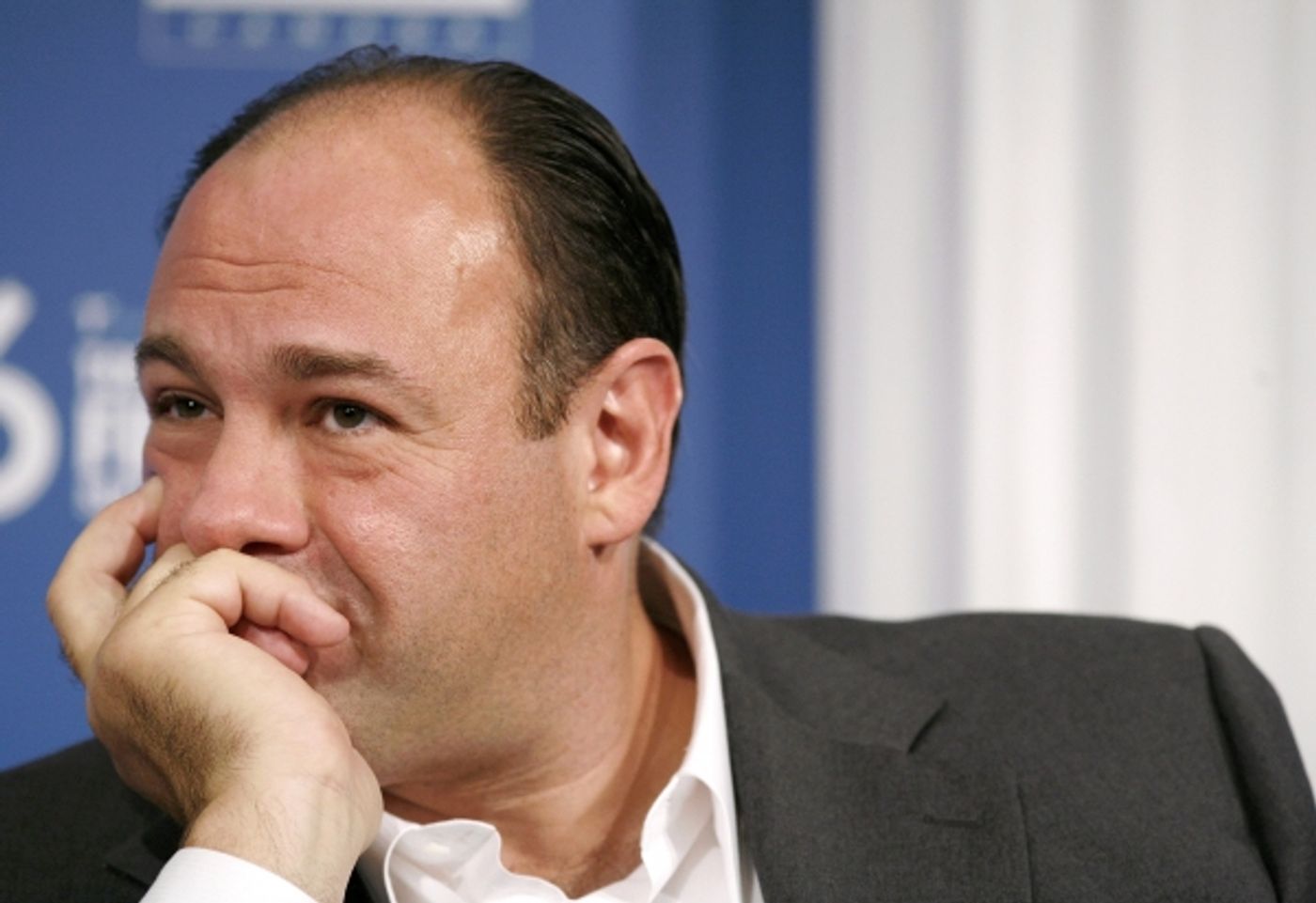 Photo Coverage: Remembering James Gandolfini  Image