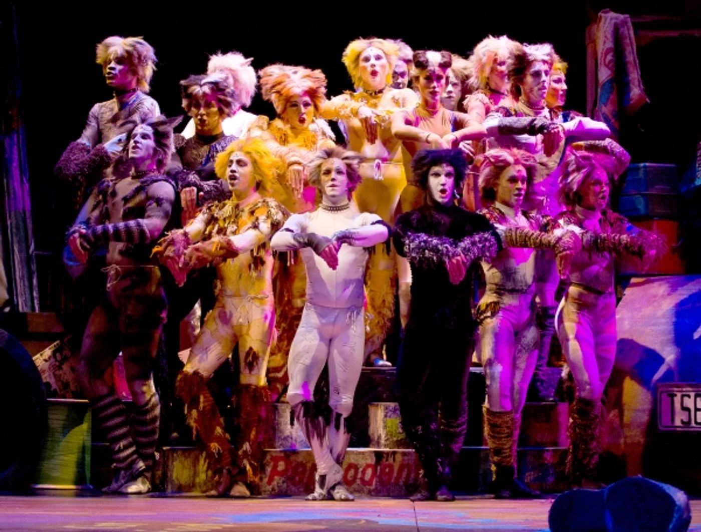 Photo Flash: First Look at Theatre by the Sea's CATS, Now Through 7/13  Image