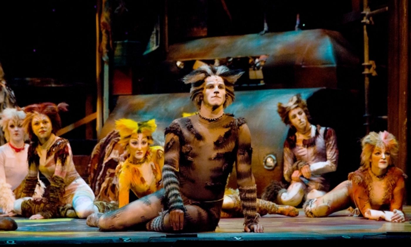 Photo Flash: First Look at Theatre by the Sea's CATS, Now Through 7/13  Image