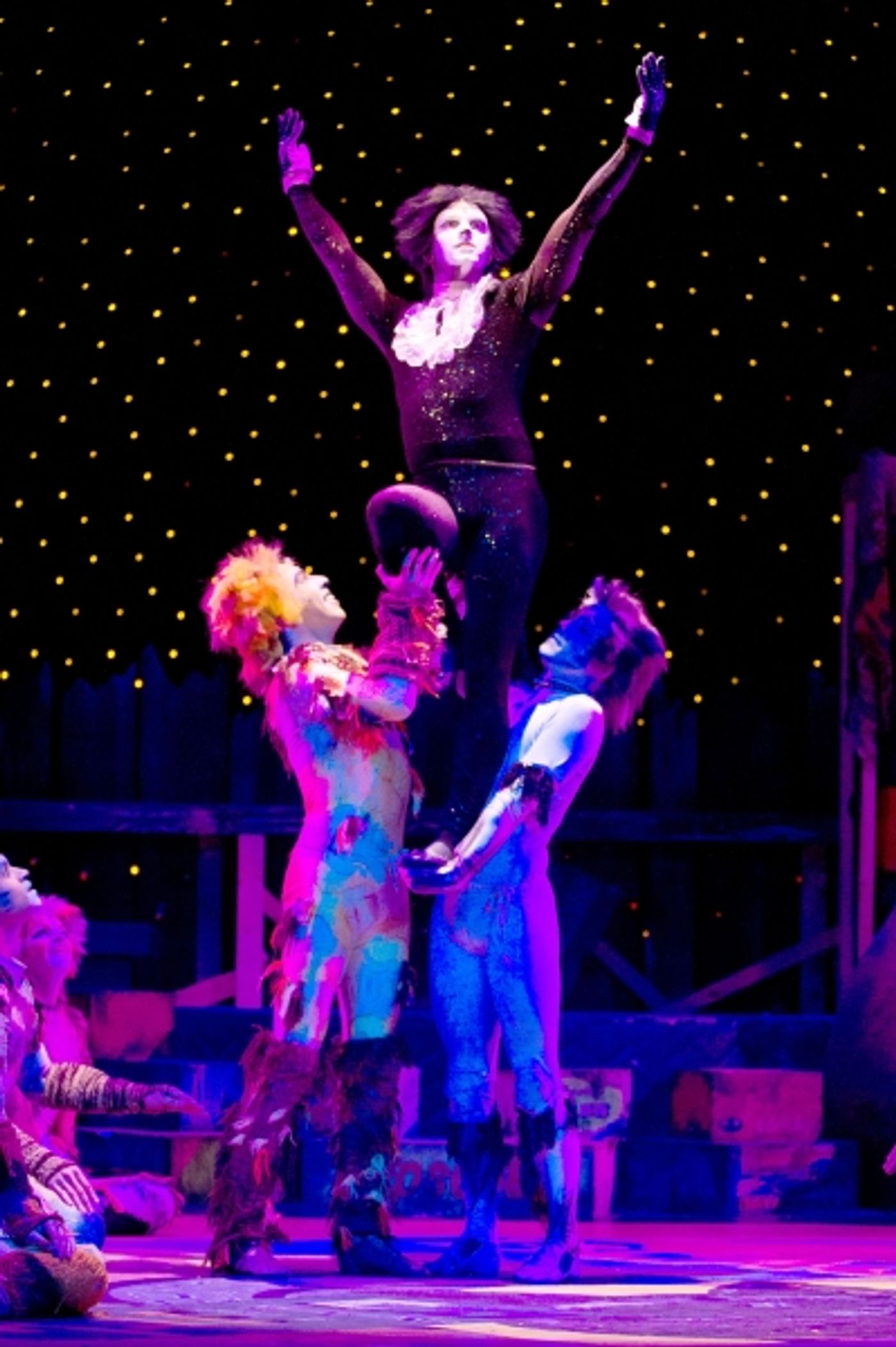 Photo Flash: First Look at Theatre by the Sea's CATS, Now Through 7/13  Image