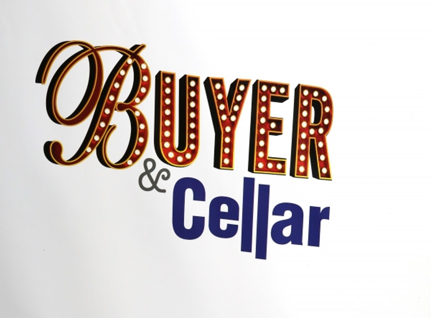Photo Coverage: Inside BUYER & CELLAR's Opening Night Theatre Arrivals Image