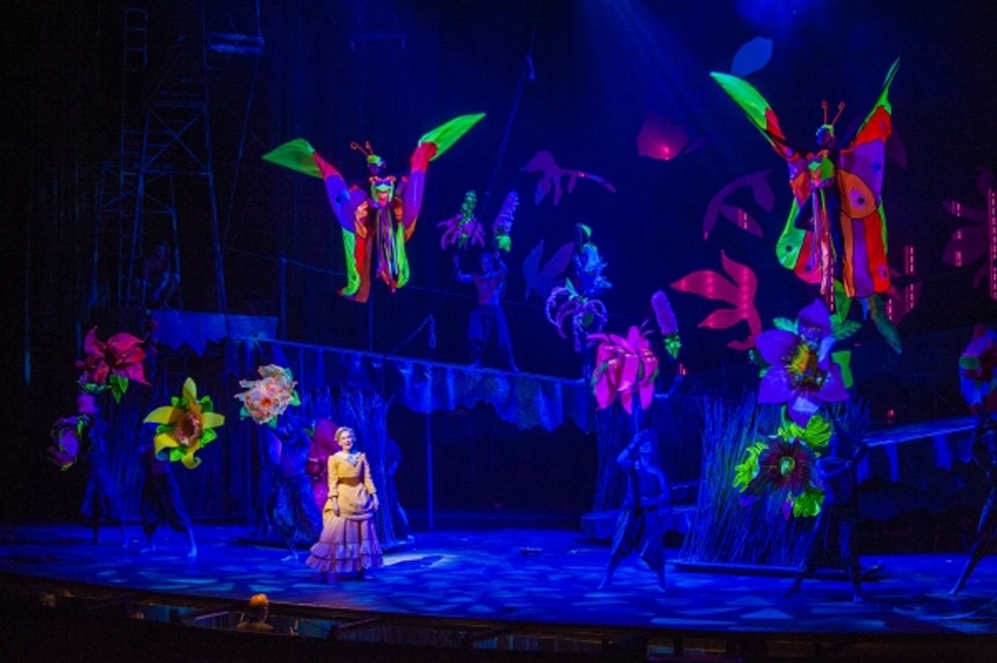 Photo Flash: First Look at Felicia Boswell, Nicholas Rodriguez & More in Lyric Theatre's TARZAN  Image