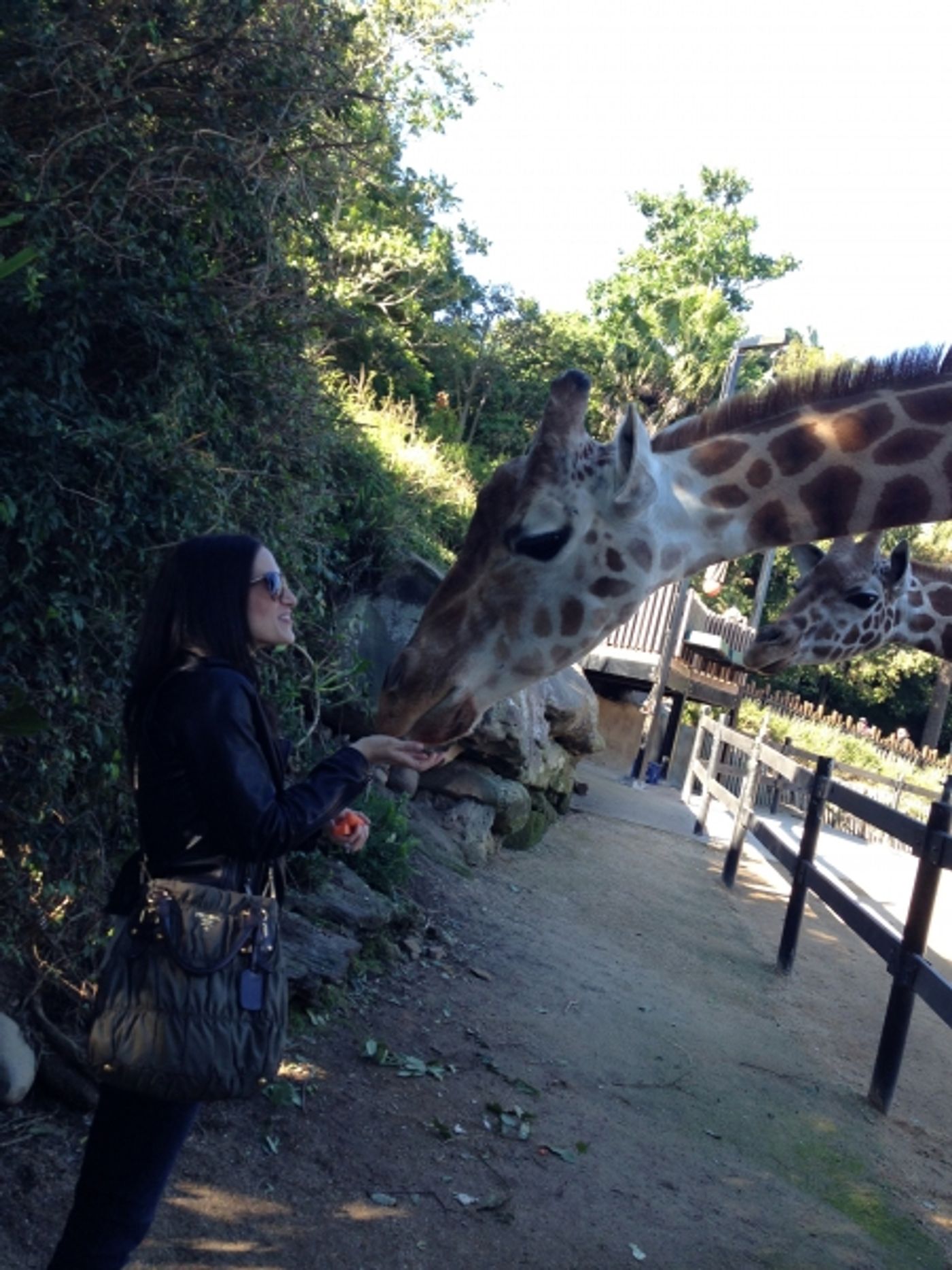BWW Exclusive: Kristin Chenoweth's 2013 Sold-Out Australian Tour Scrapbook!  Image