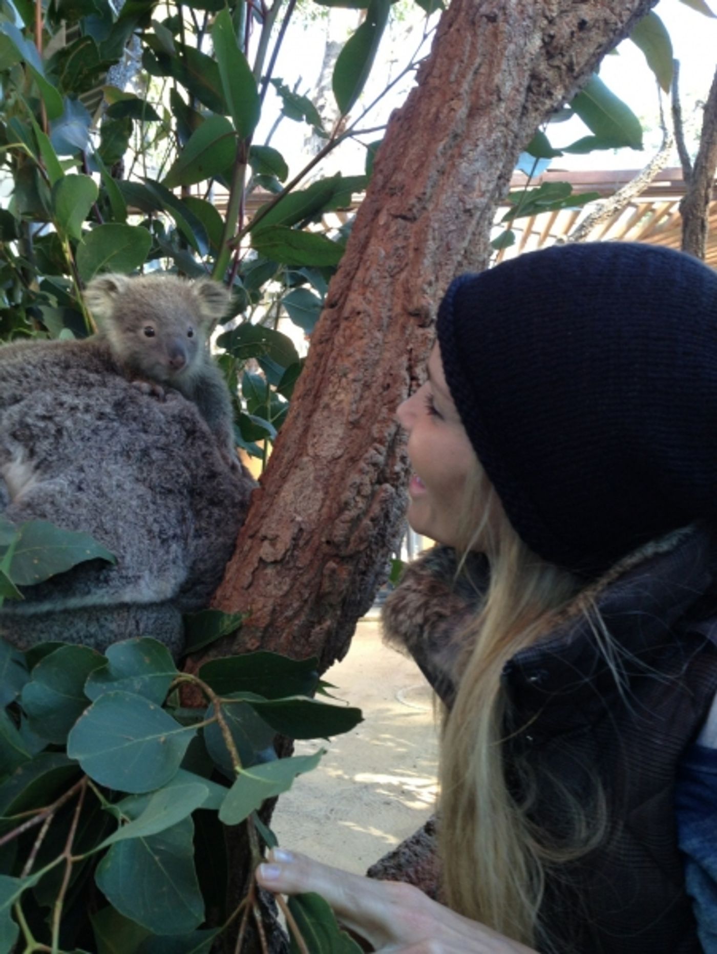 BWW Exclusive: Kristin Chenoweth's 2013 Sold-Out Australian Tour Scrapbook!  Image
