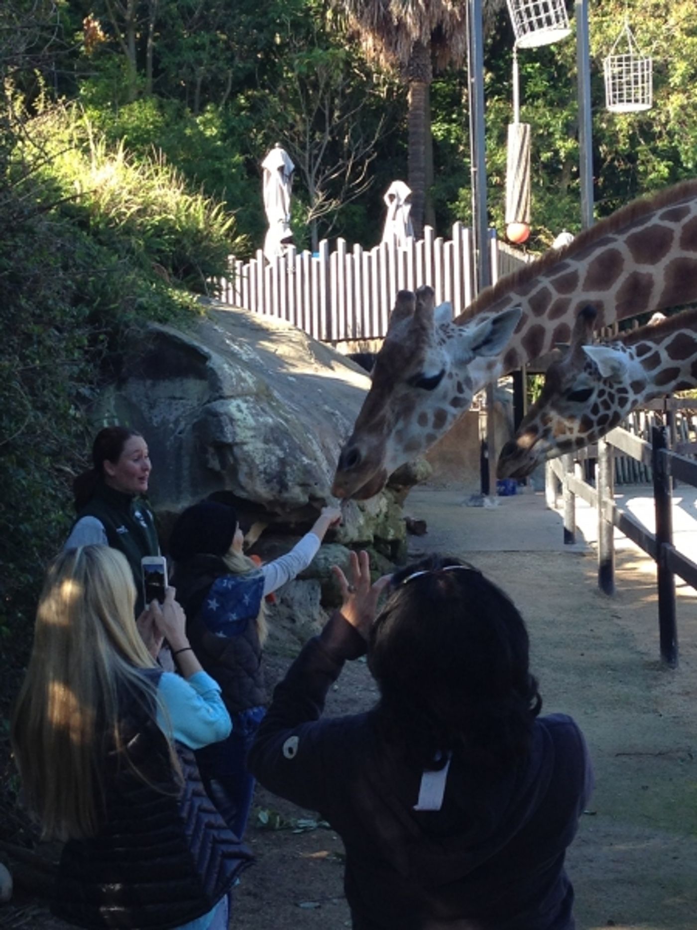 BWW Exclusive: Kristin Chenoweth's 2013 Sold-Out Australian Tour Scrapbook!  Image