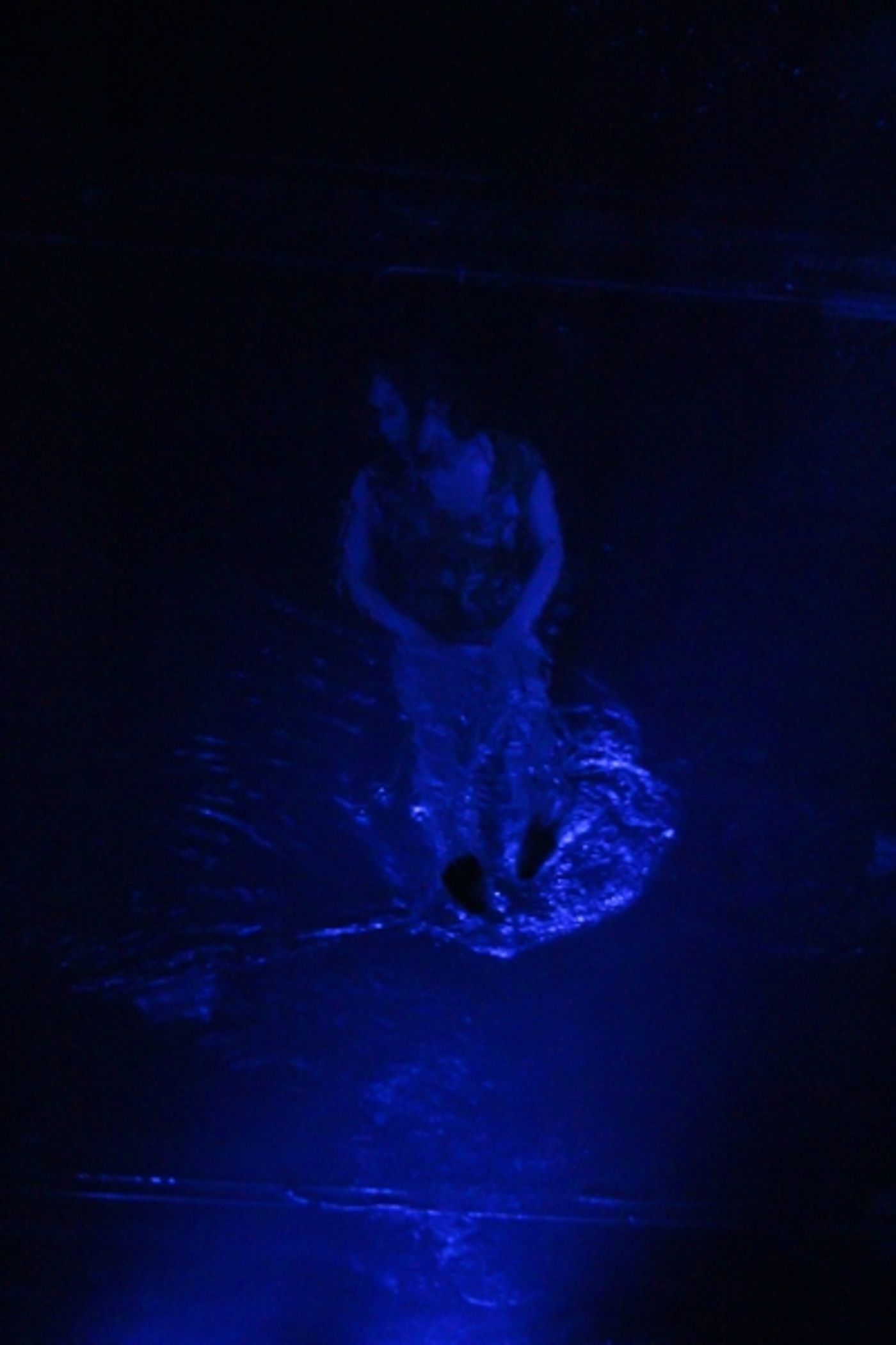 Photo Coverage: FUERZA BRUTA Celebrates 2000th Performance! Image