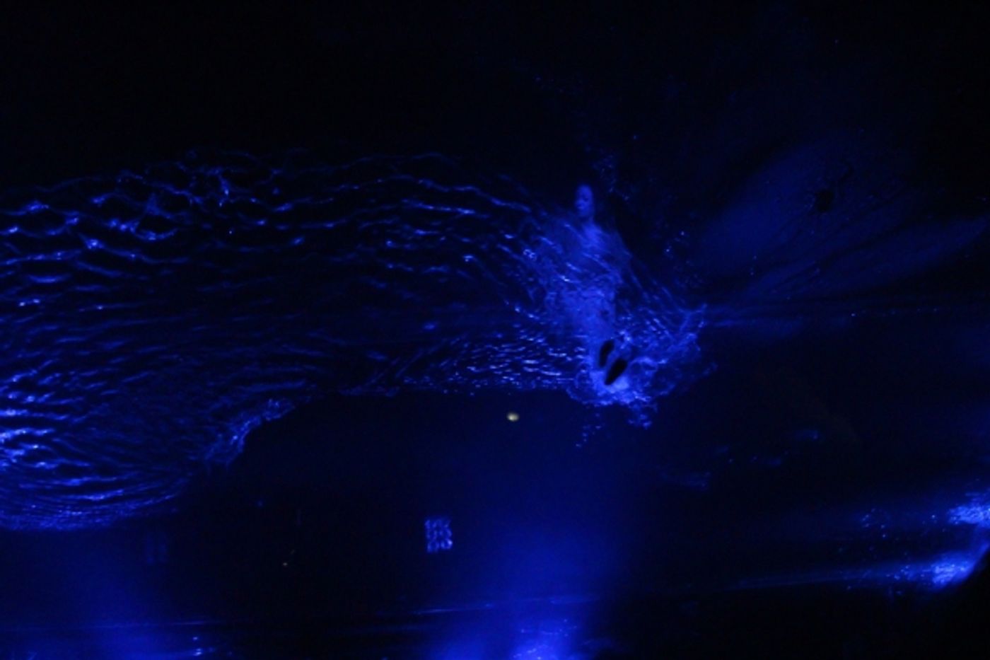 Photo Coverage: FUERZA BRUTA Celebrates 2000th Performance! Image