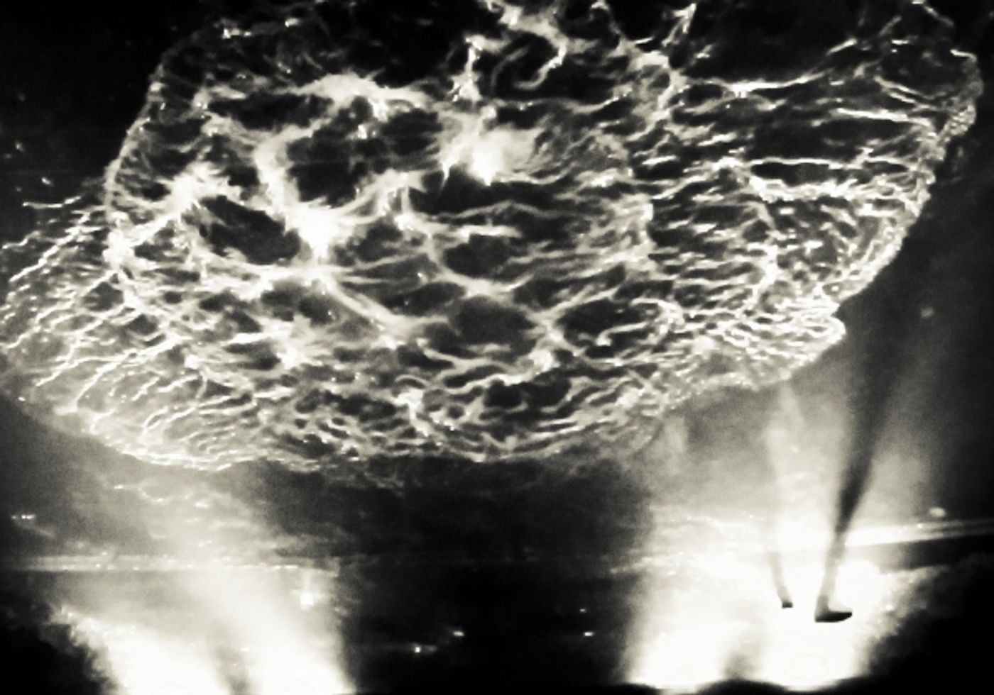 Photo Coverage: FUERZA BRUTA Celebrates 2000th Performance! Image