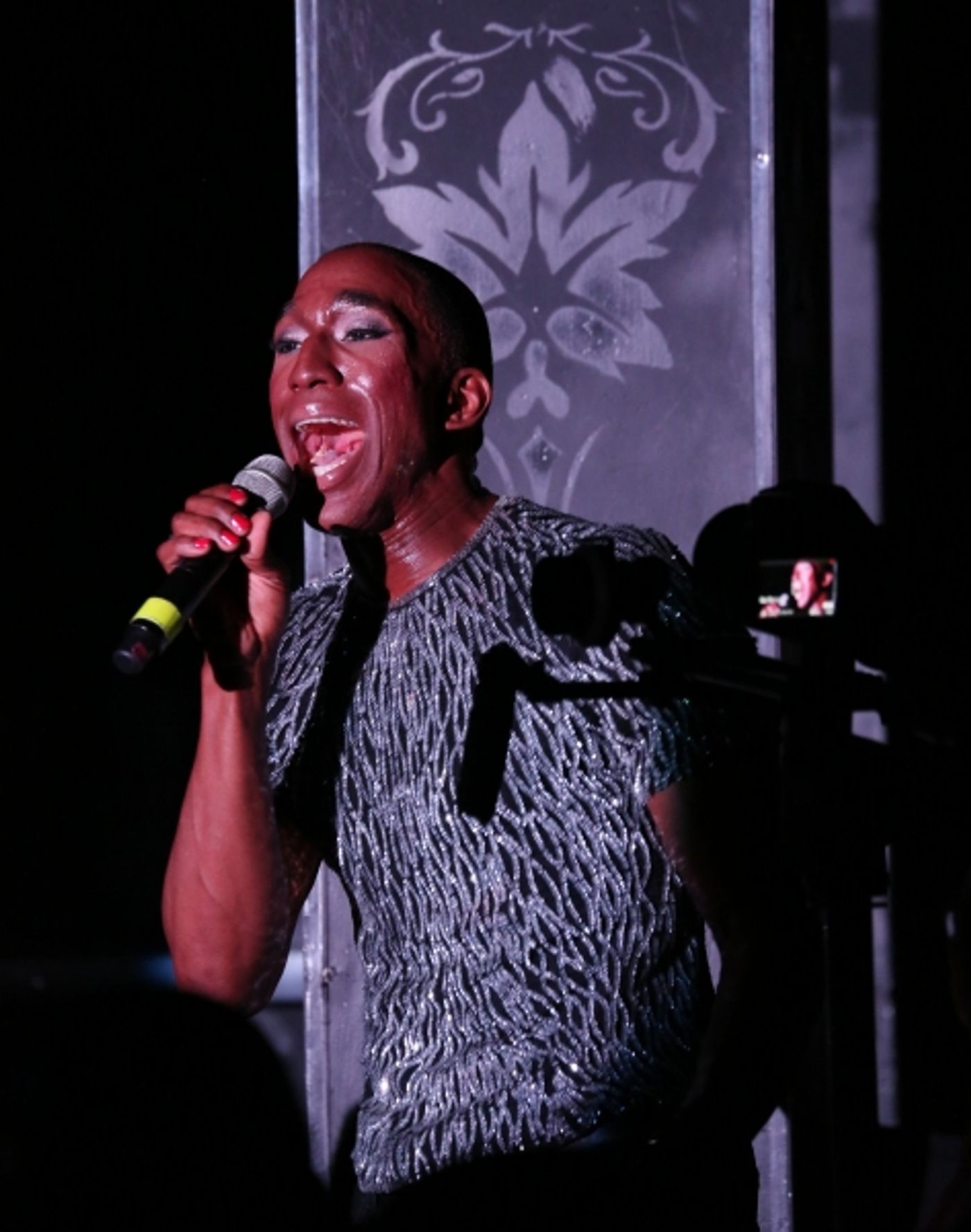 Photo Coverage: PIPPIN's Anthony Wayne in YOU MAKE ME FEEL MIGHTY REAL  Image