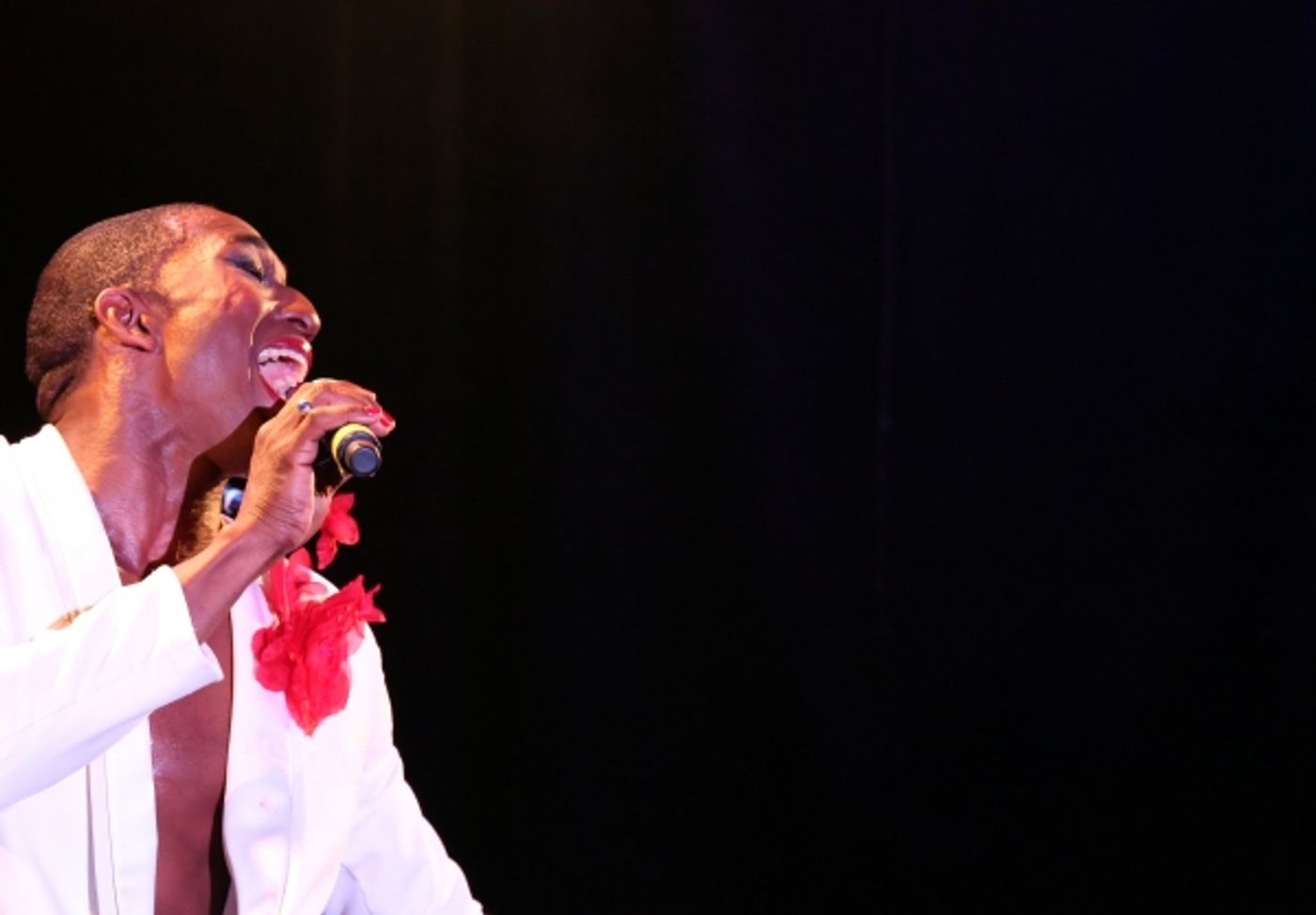 Photo Coverage: PIPPIN's Anthony Wayne in YOU MAKE ME FEEL MIGHTY REAL  Image