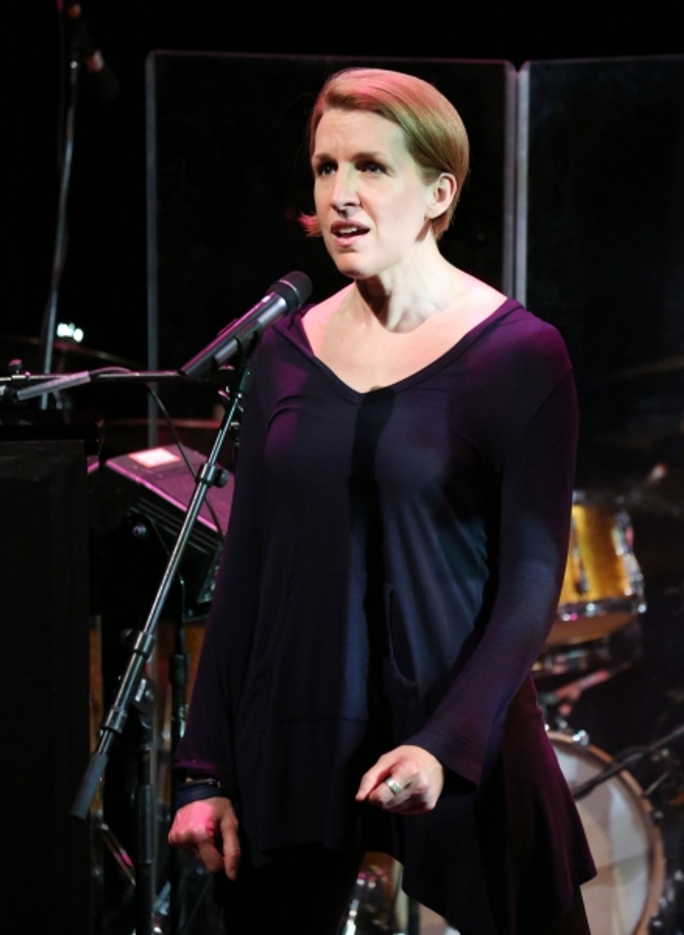Photo Coverage: The 2013 New York Musical Theatre Festival Gives Performance Preview!  Image
